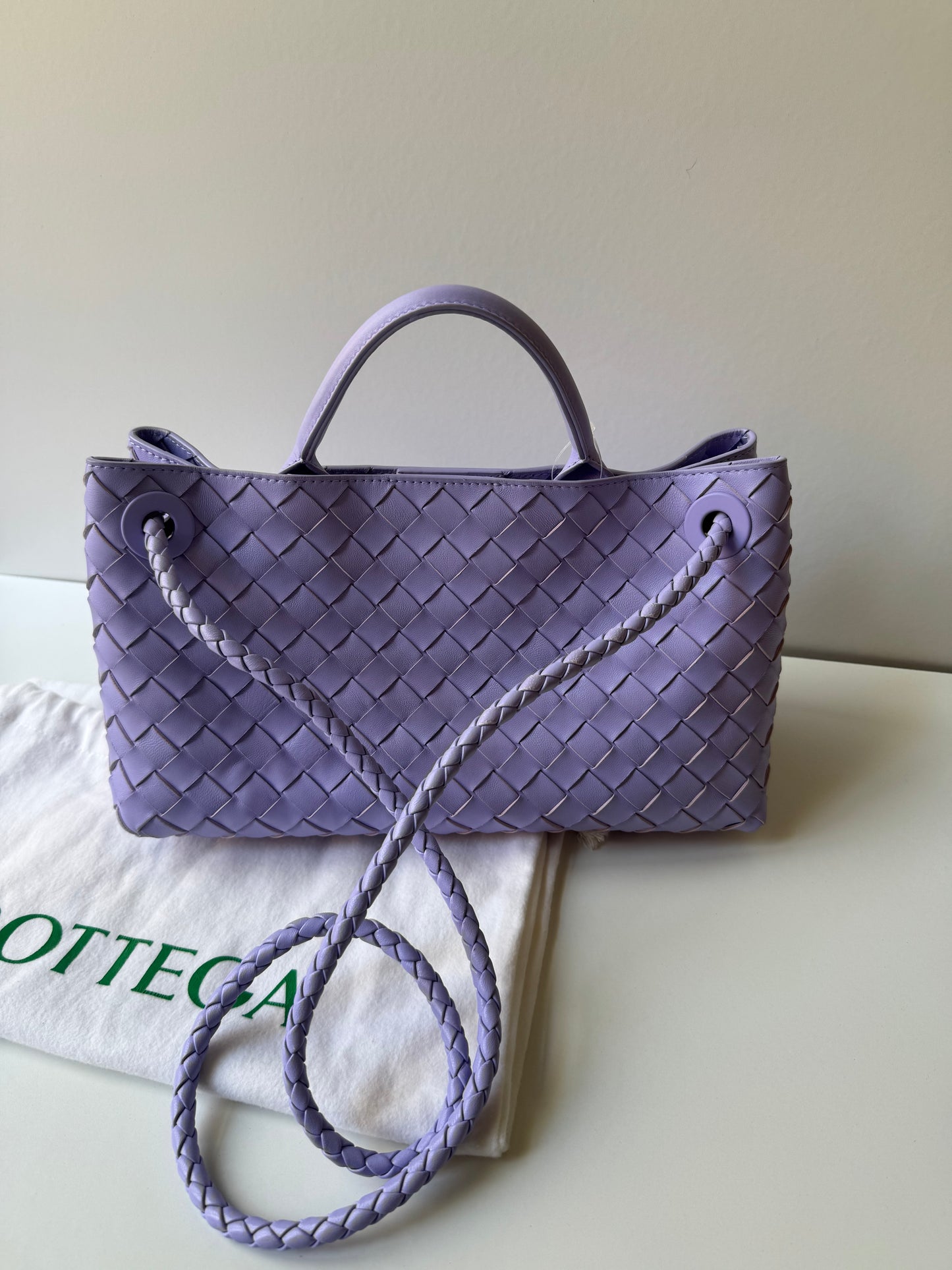 Bottega Veneta Andiamo East West