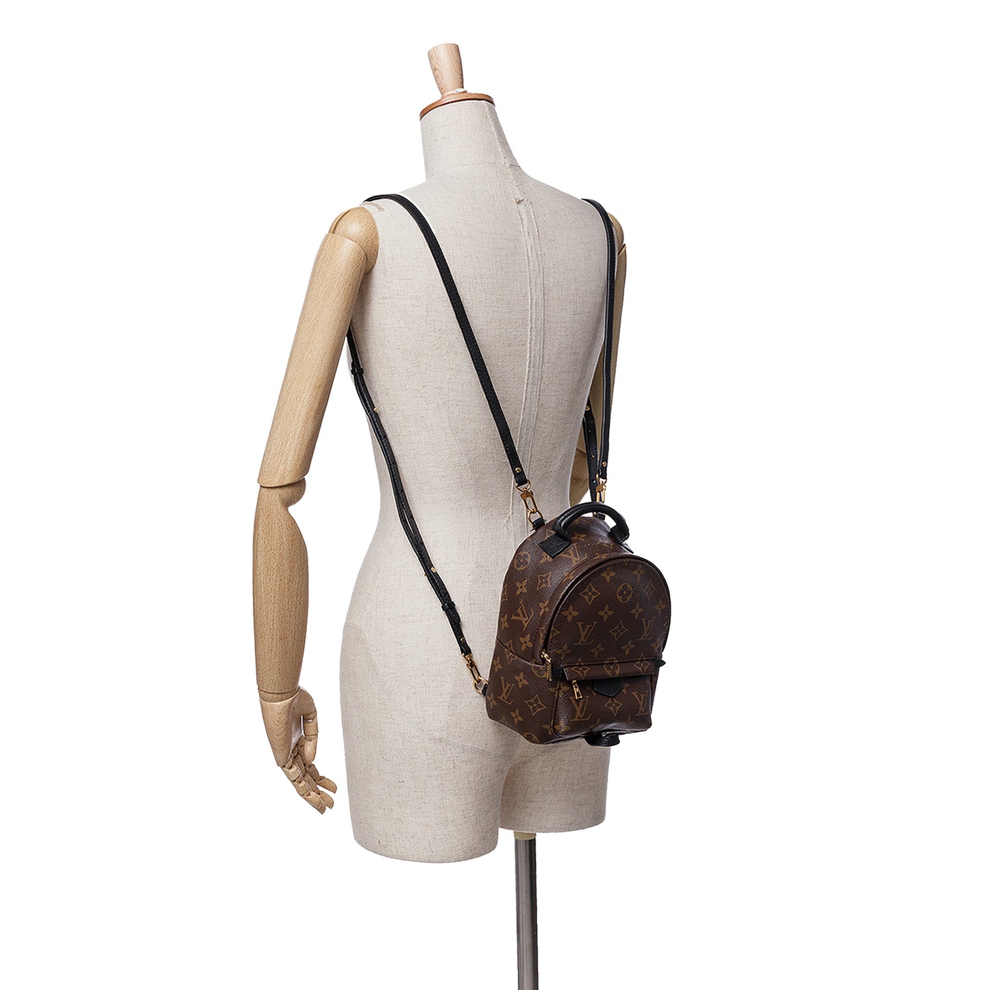 Louis Vuitton Palm Spring Mini