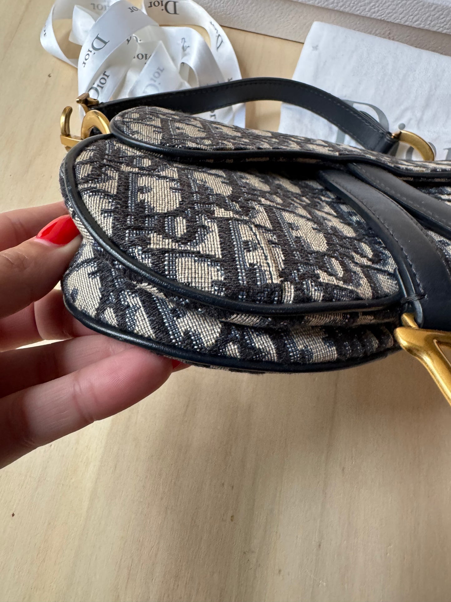 Dior Mini Saddle Jaquard