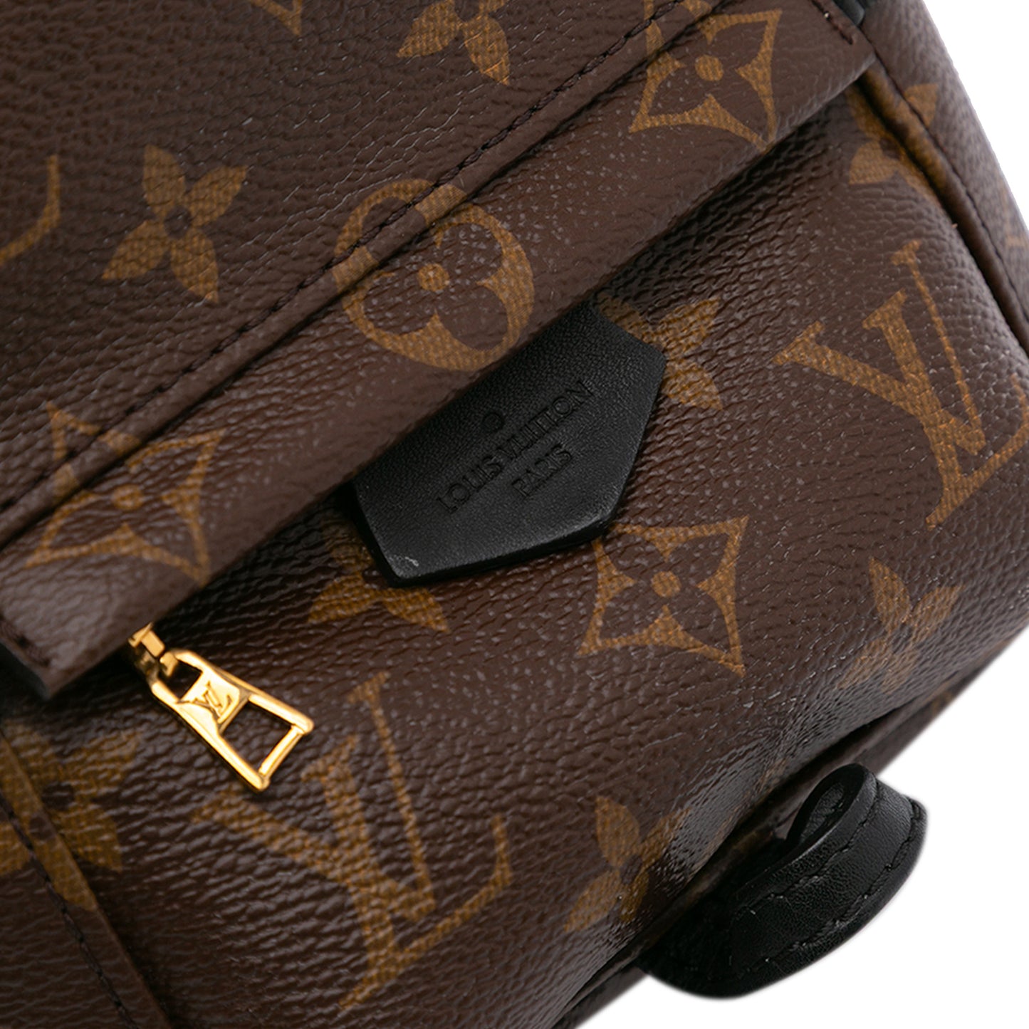 Louis Vuitton Palm Spring Mini