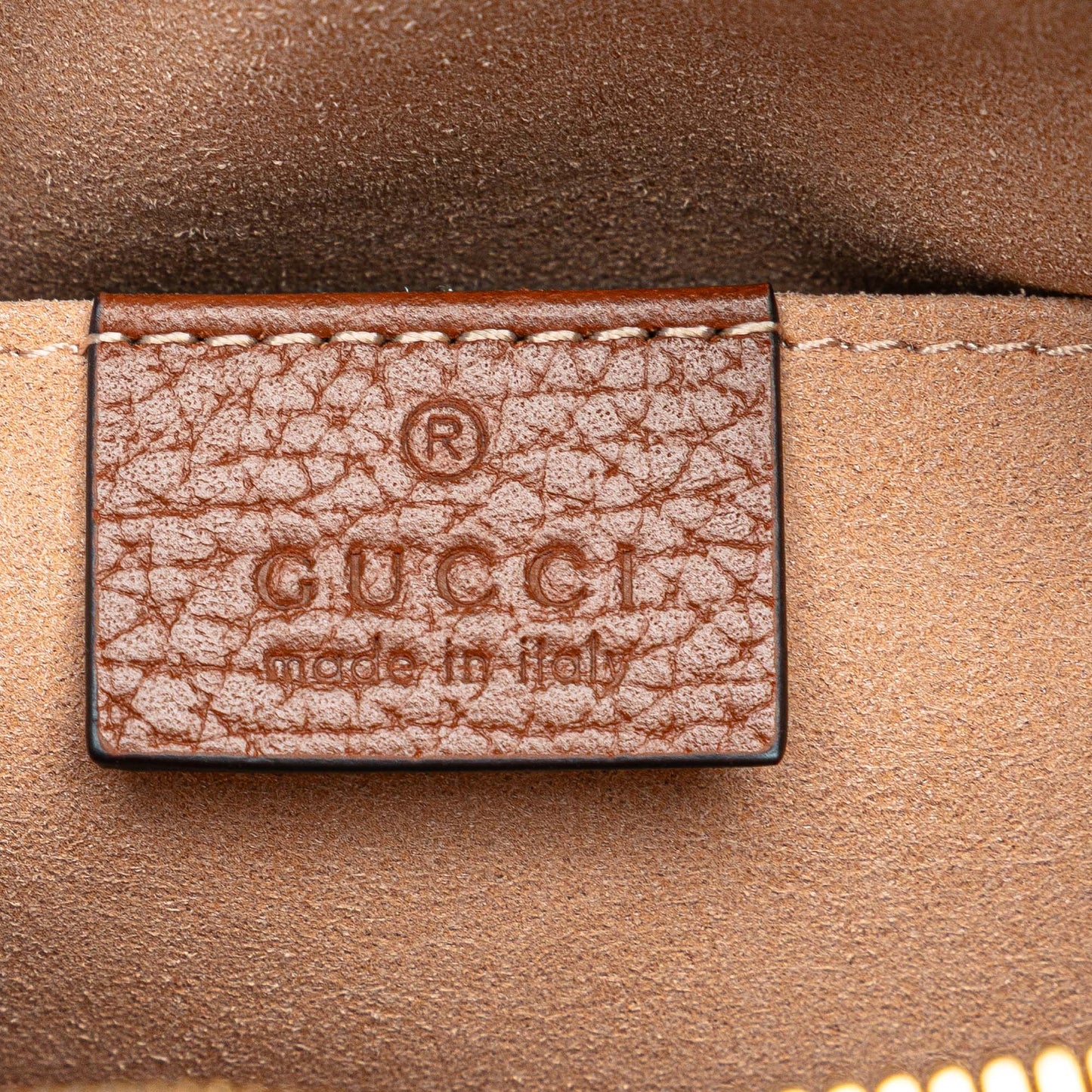 Gucci Mini Ophidia