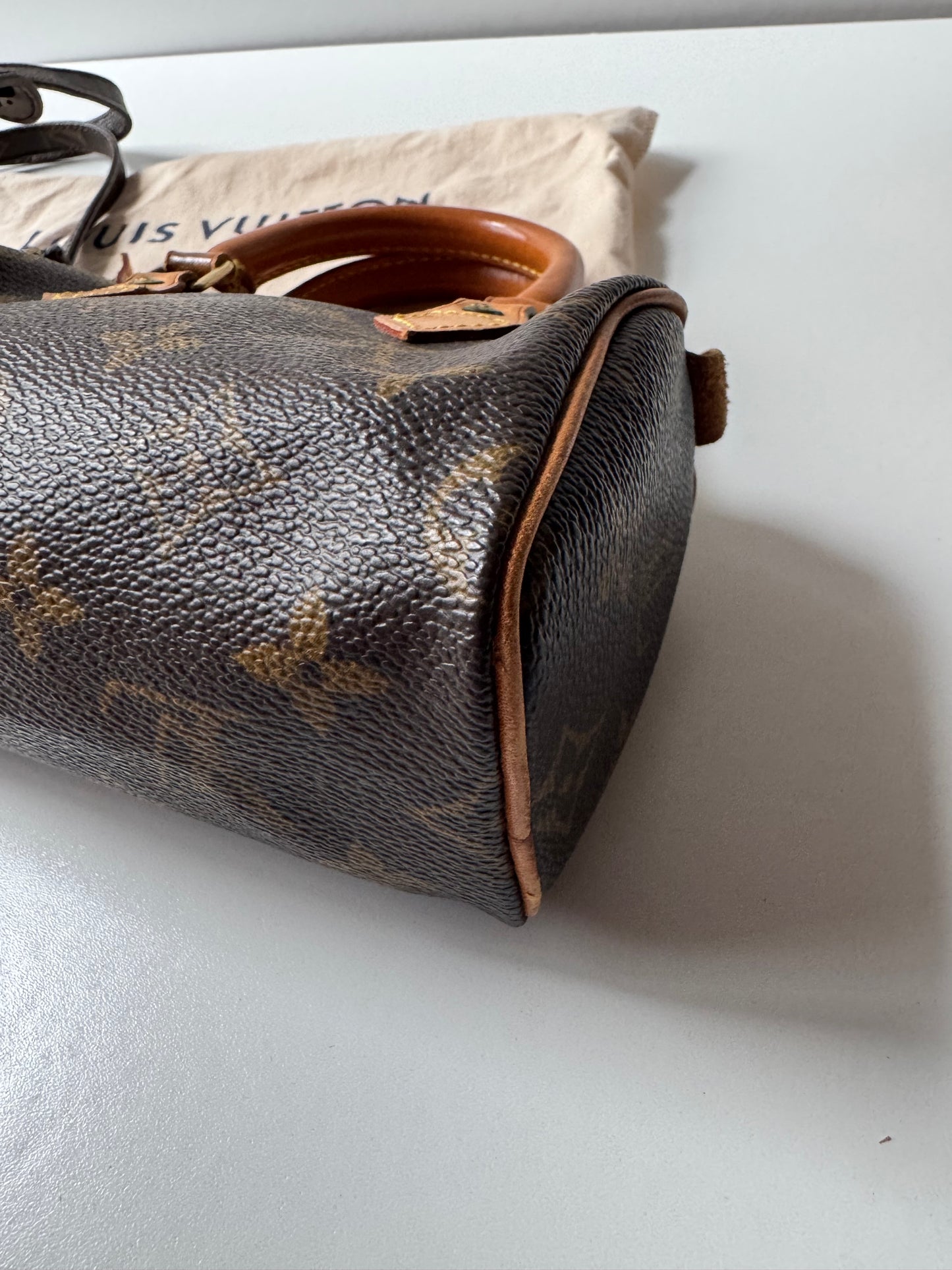 Louis Vuitton Speedy Nano