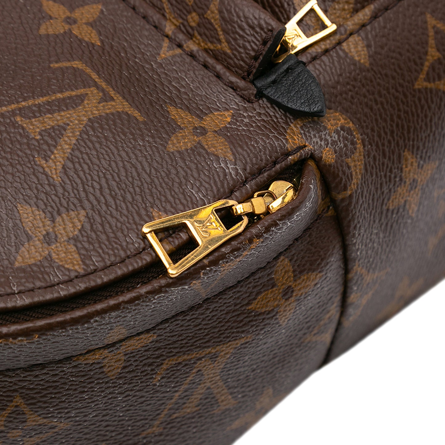 Louis Vuitton Palm Spring Mini