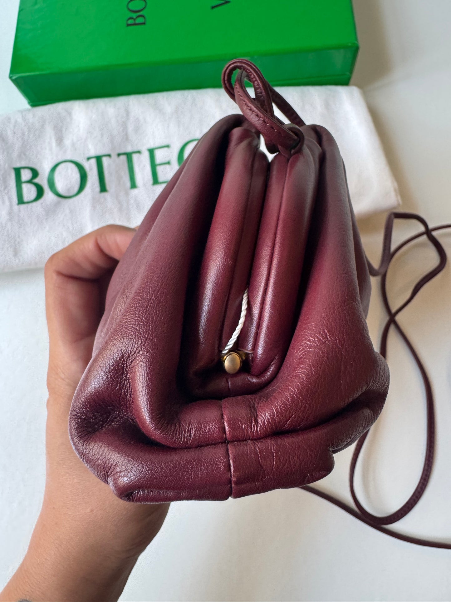 Bottega Veneta Pouch