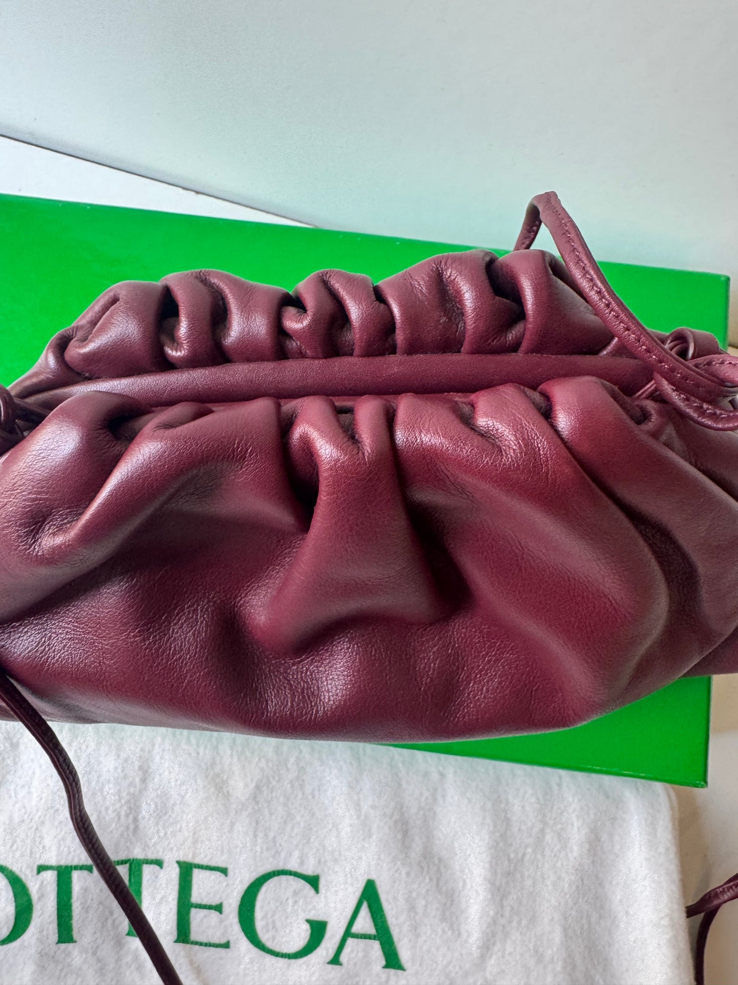 Bottega Veneta Pouch