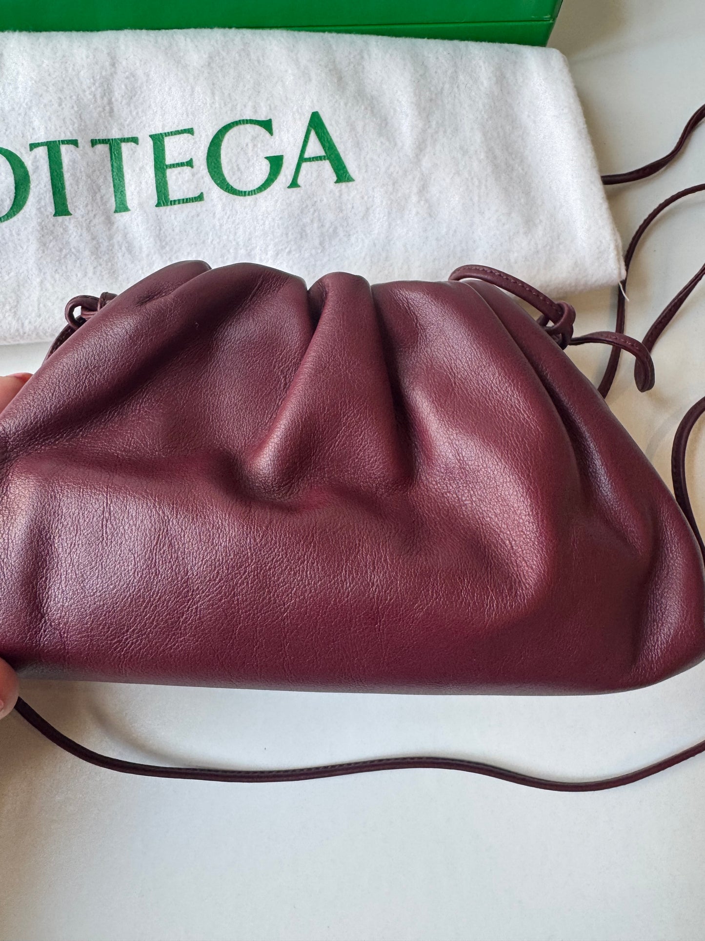 Bottega Veneta Pouch