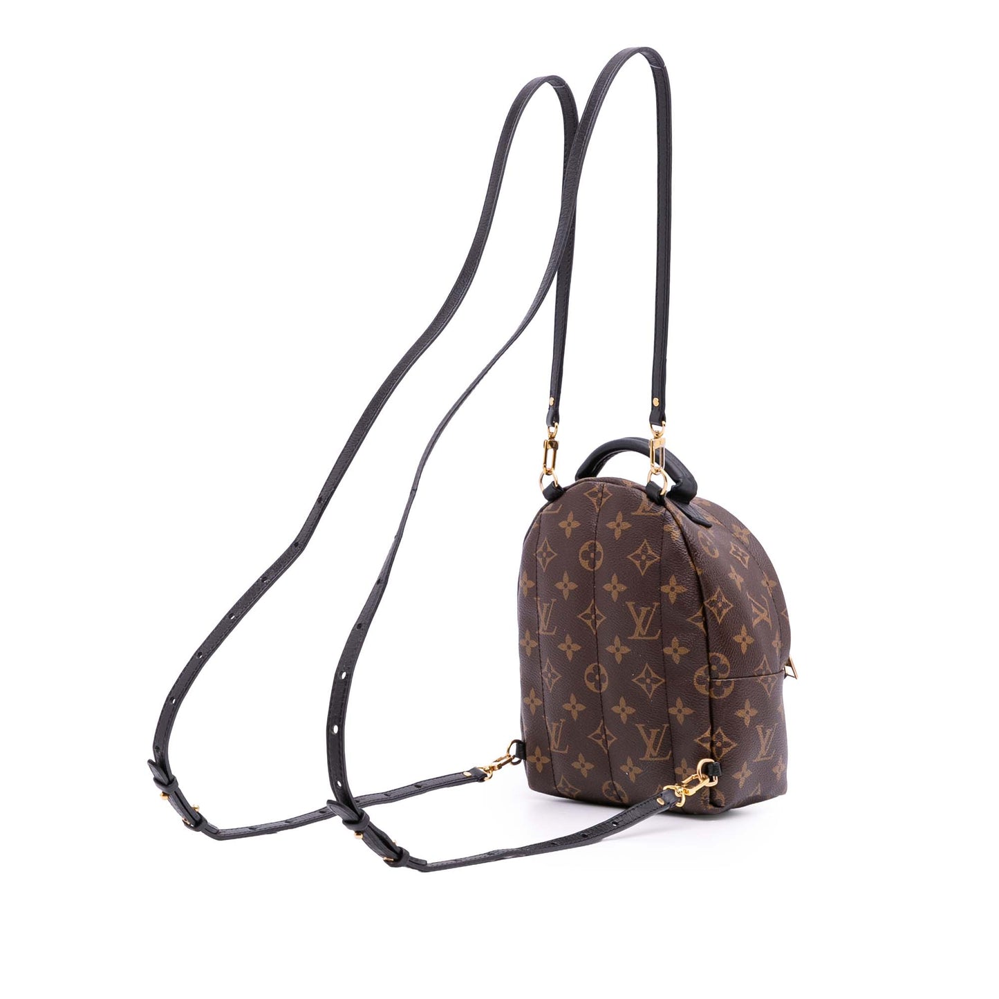 Louis Vuitton Palm spring