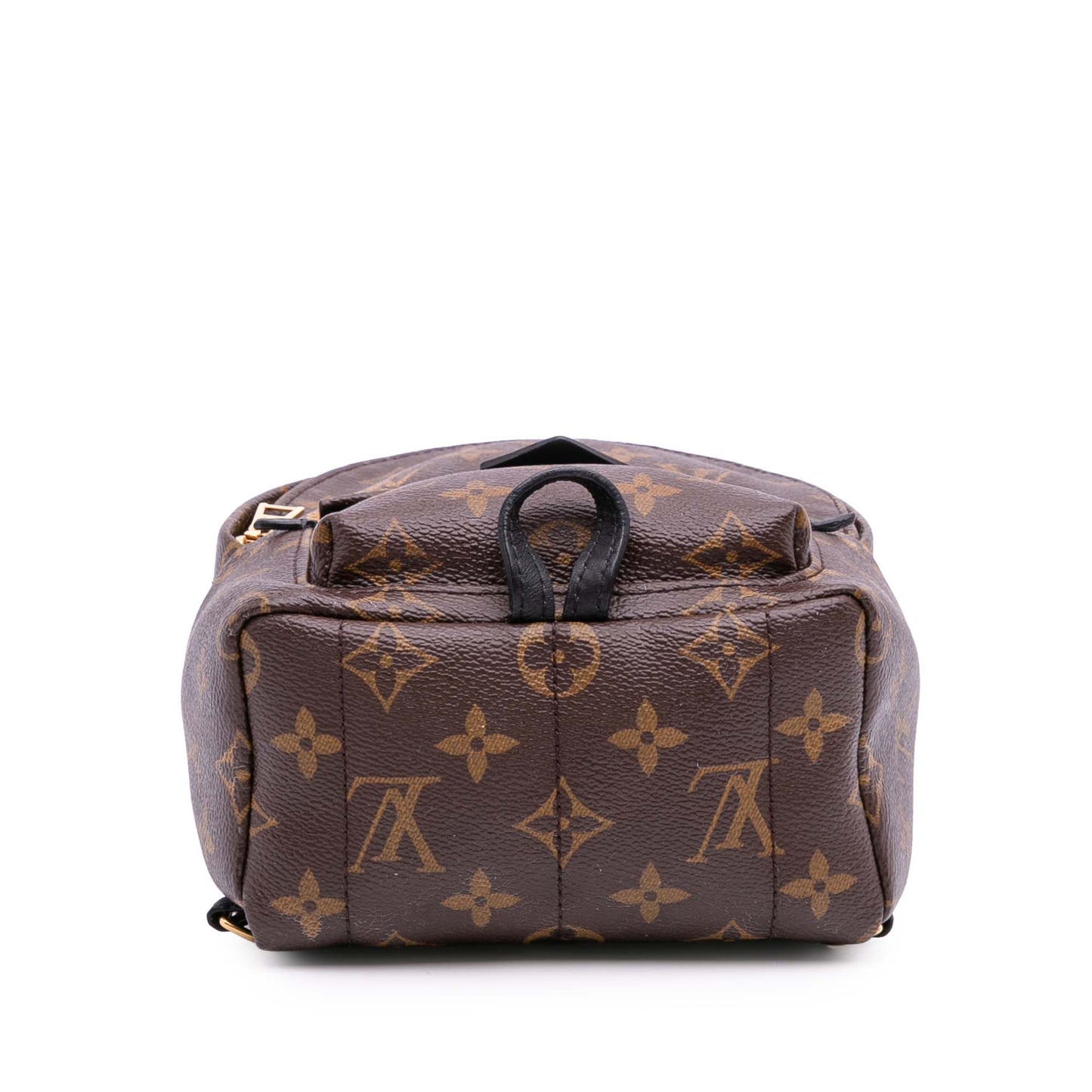 Louis Vuitton Palm spring
