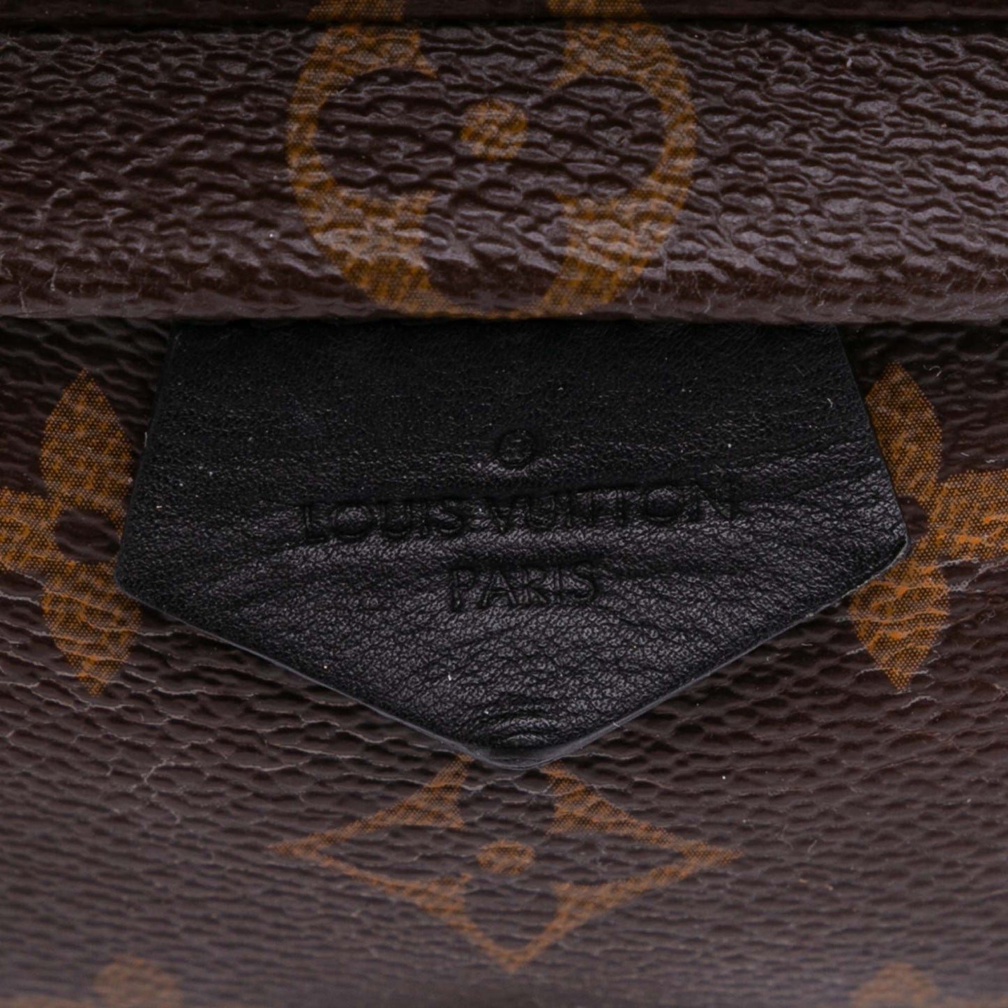 Louis Vuitton Palm spring