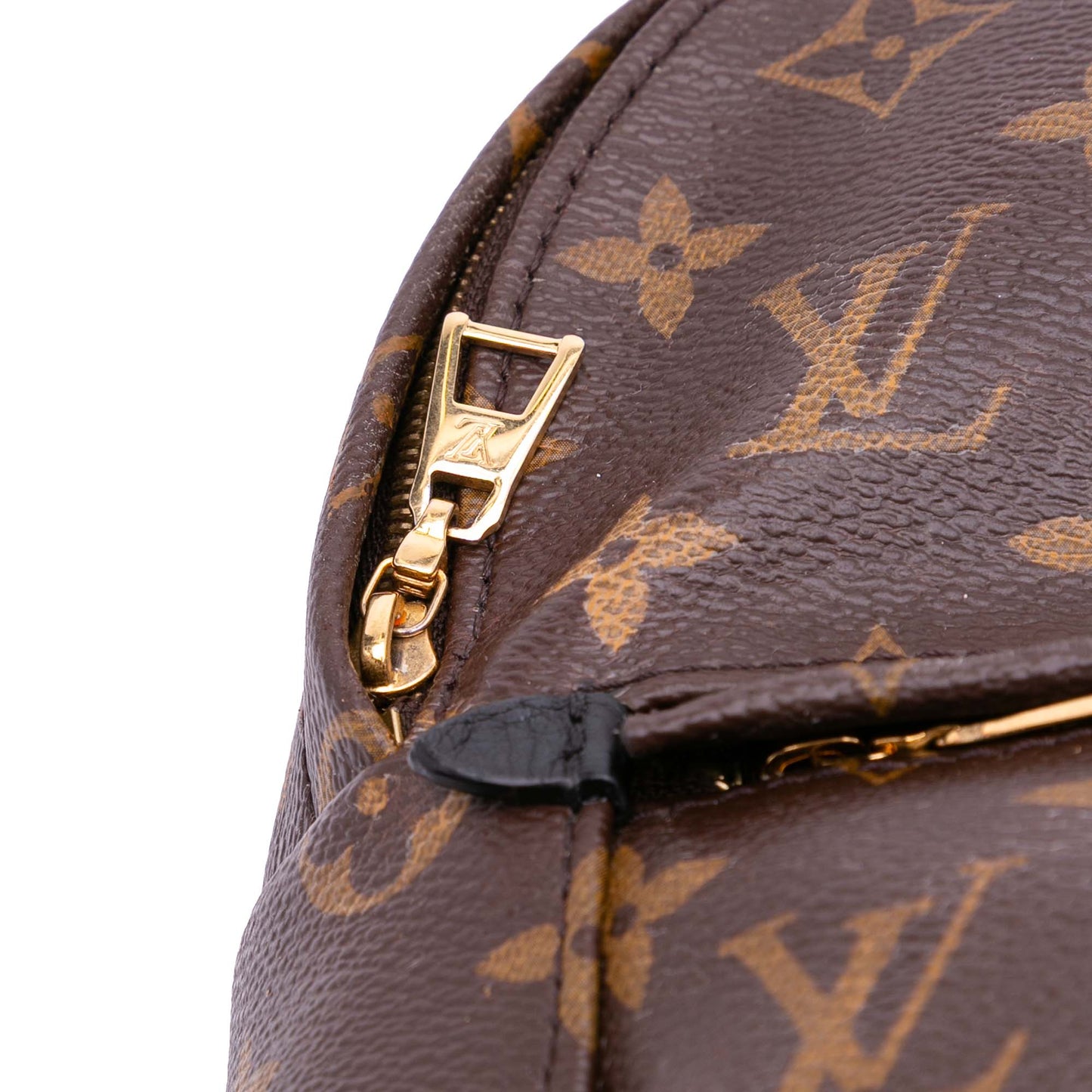 Louis Vuitton Palm spring