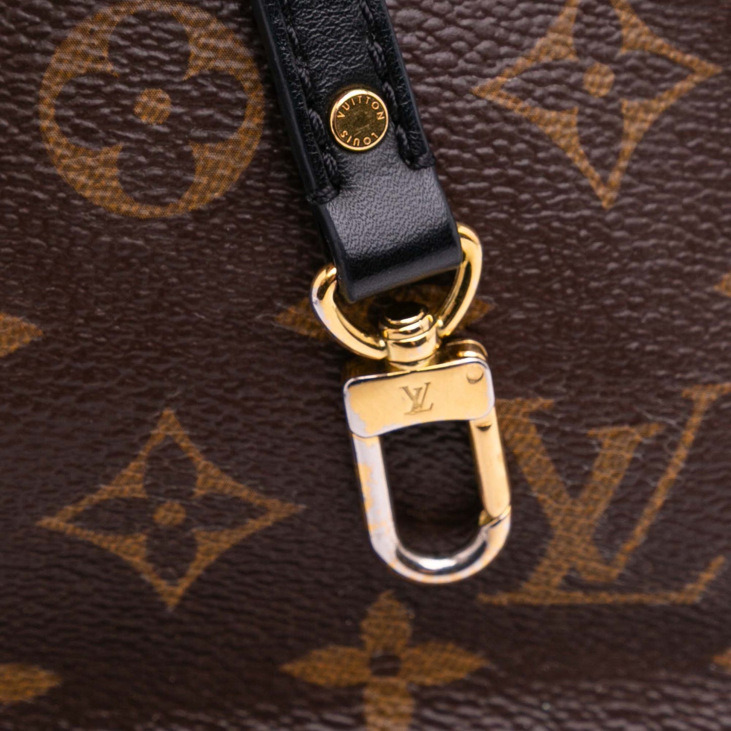 Louis Vuitton Palm spring