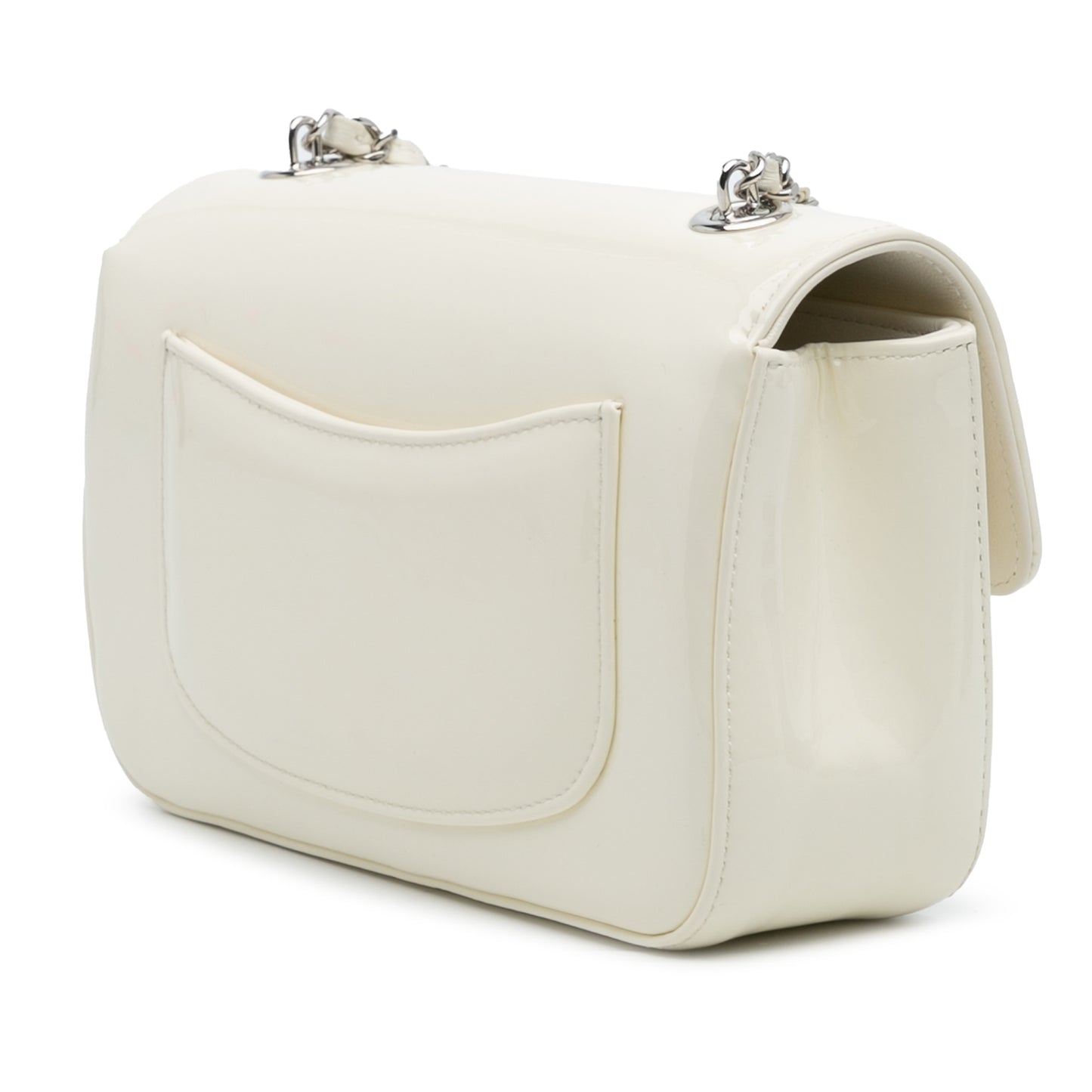Chanel Camelia Single Flap