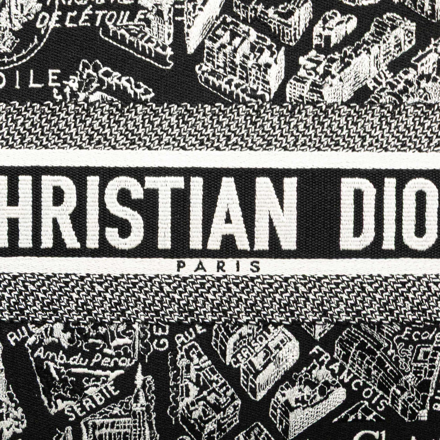 Dior Plan De Paris Book Tote