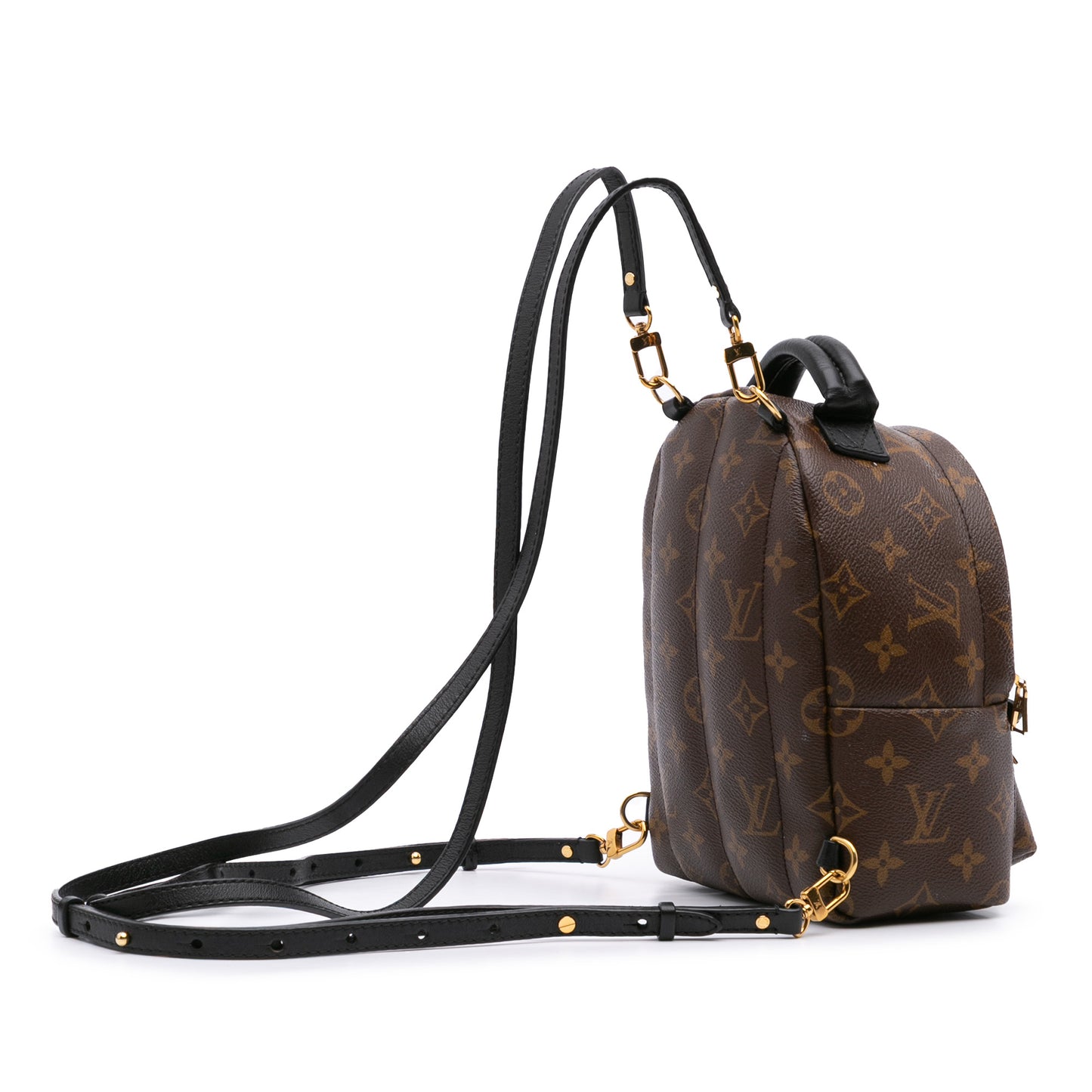 Louis Vuitton Palm Spring Mini