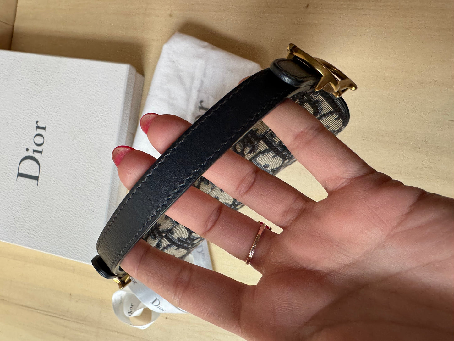 Dior Mini Saddle Jaquard