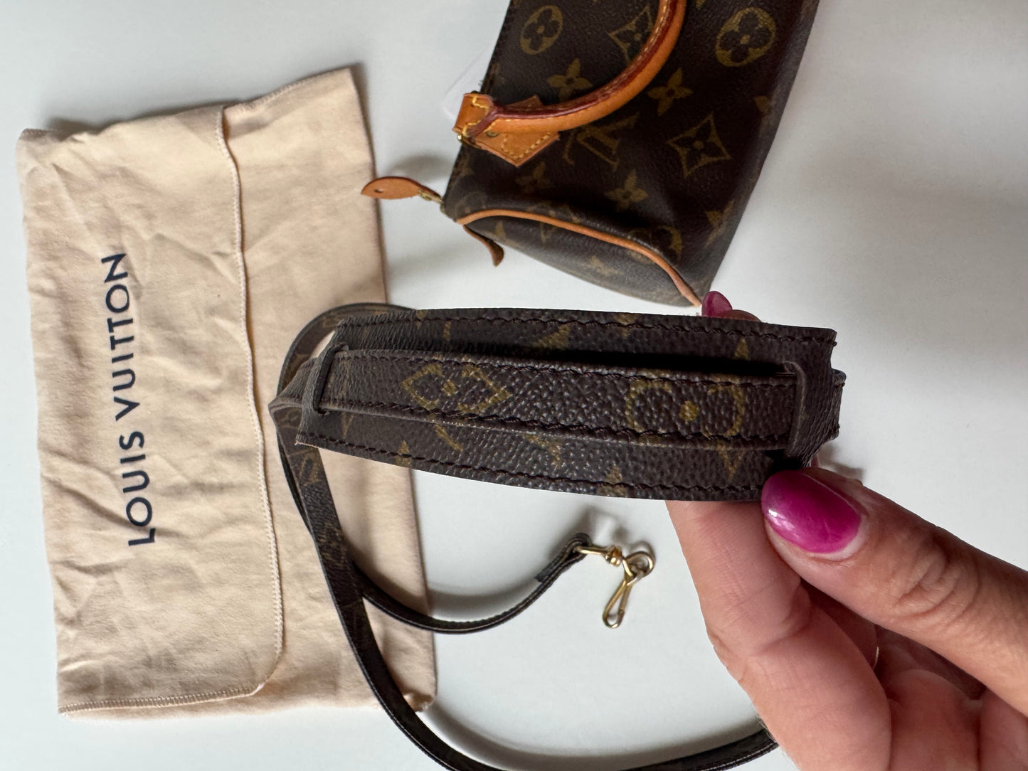 Louis Vuitton Speedy Nano