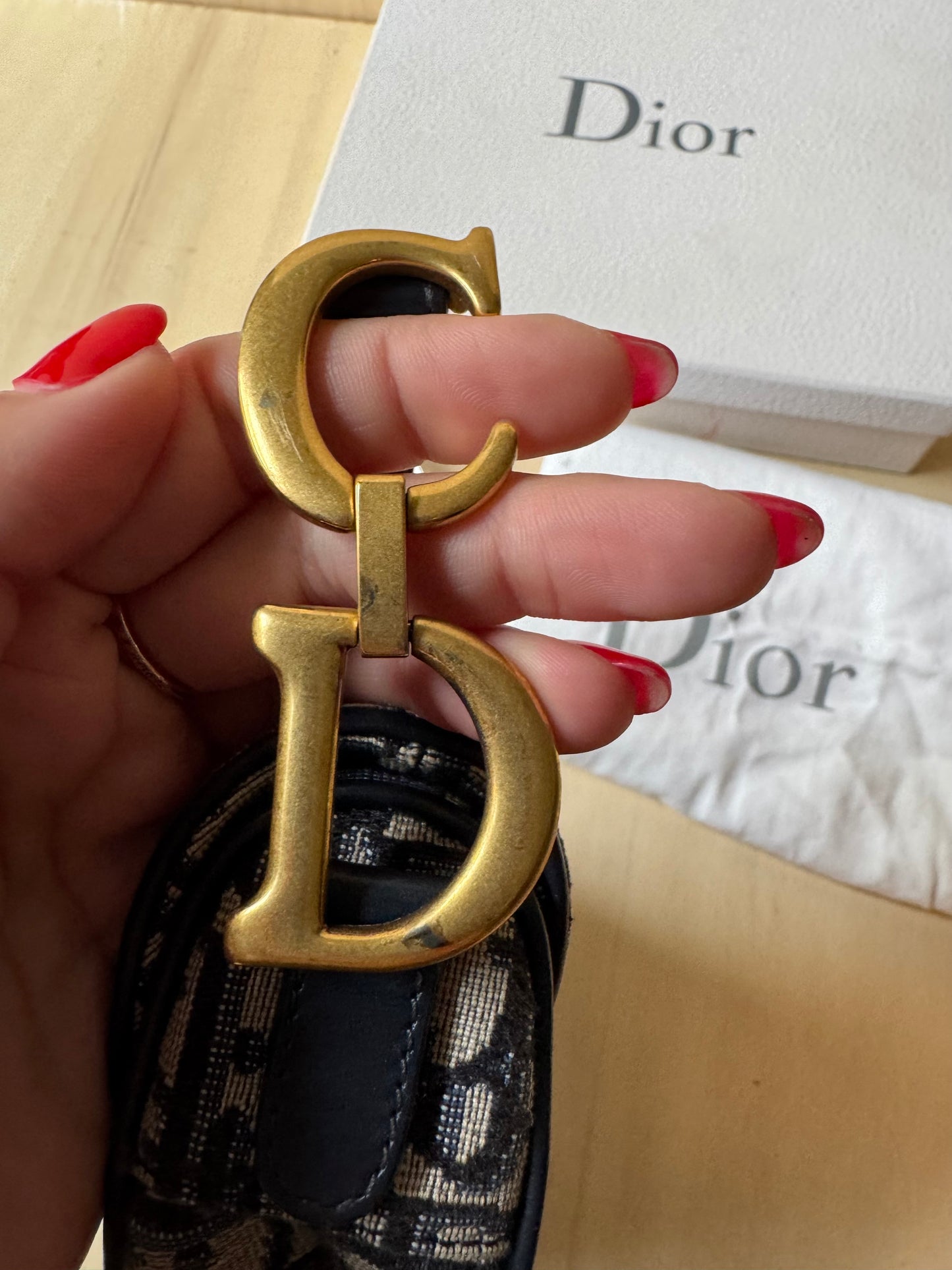 Dior Mini Saddle Jaquard