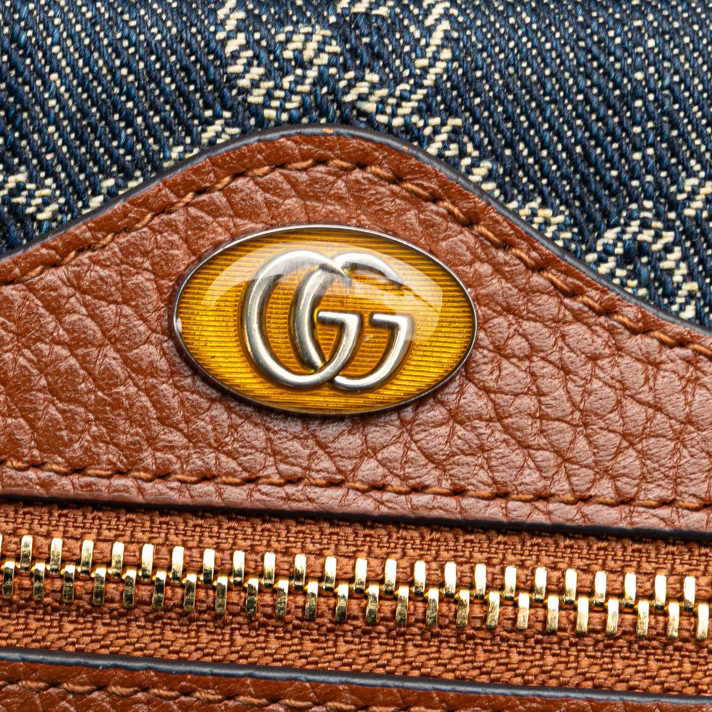 Gucci Mini Ophidia