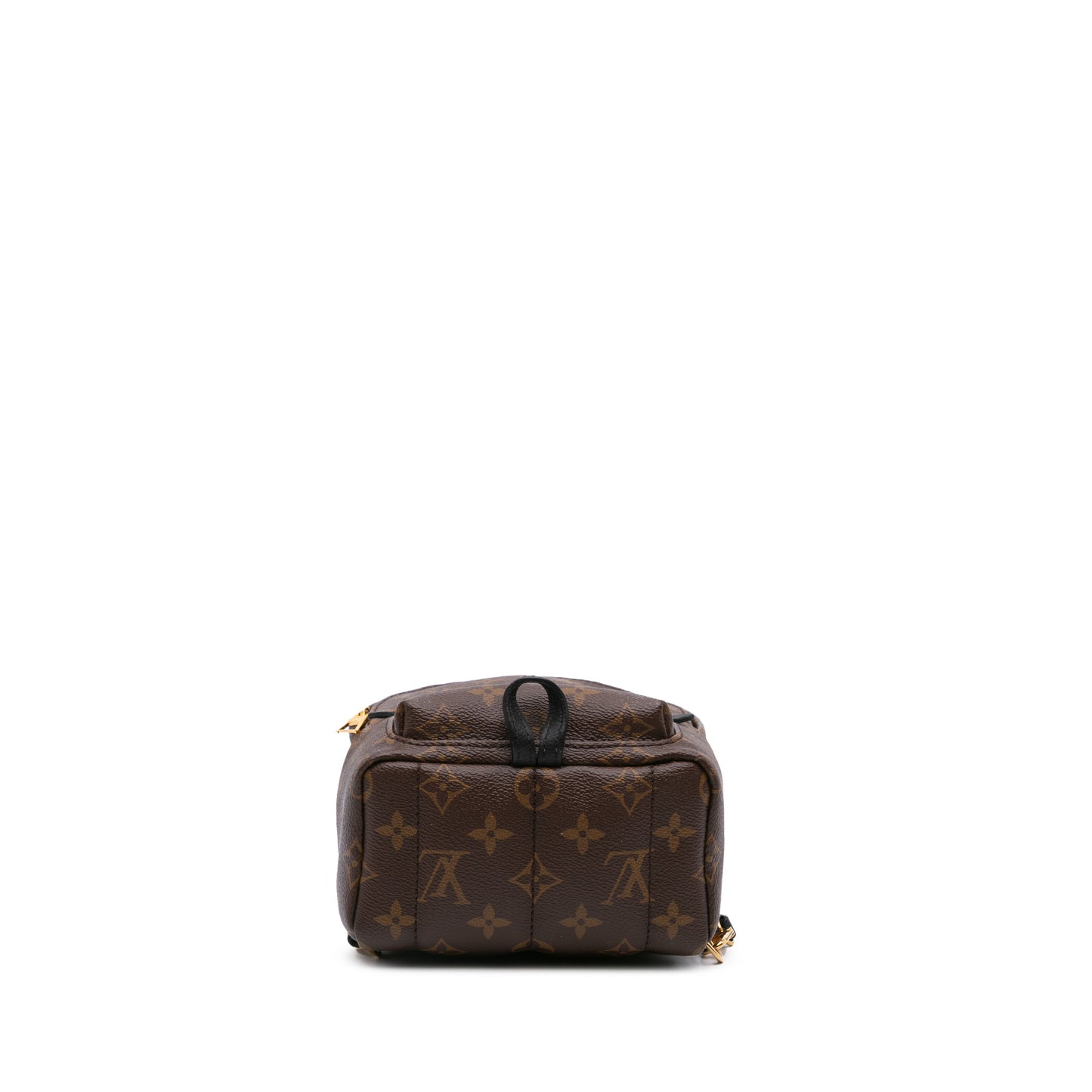 Louis Vuitton Palm Spring Mini
