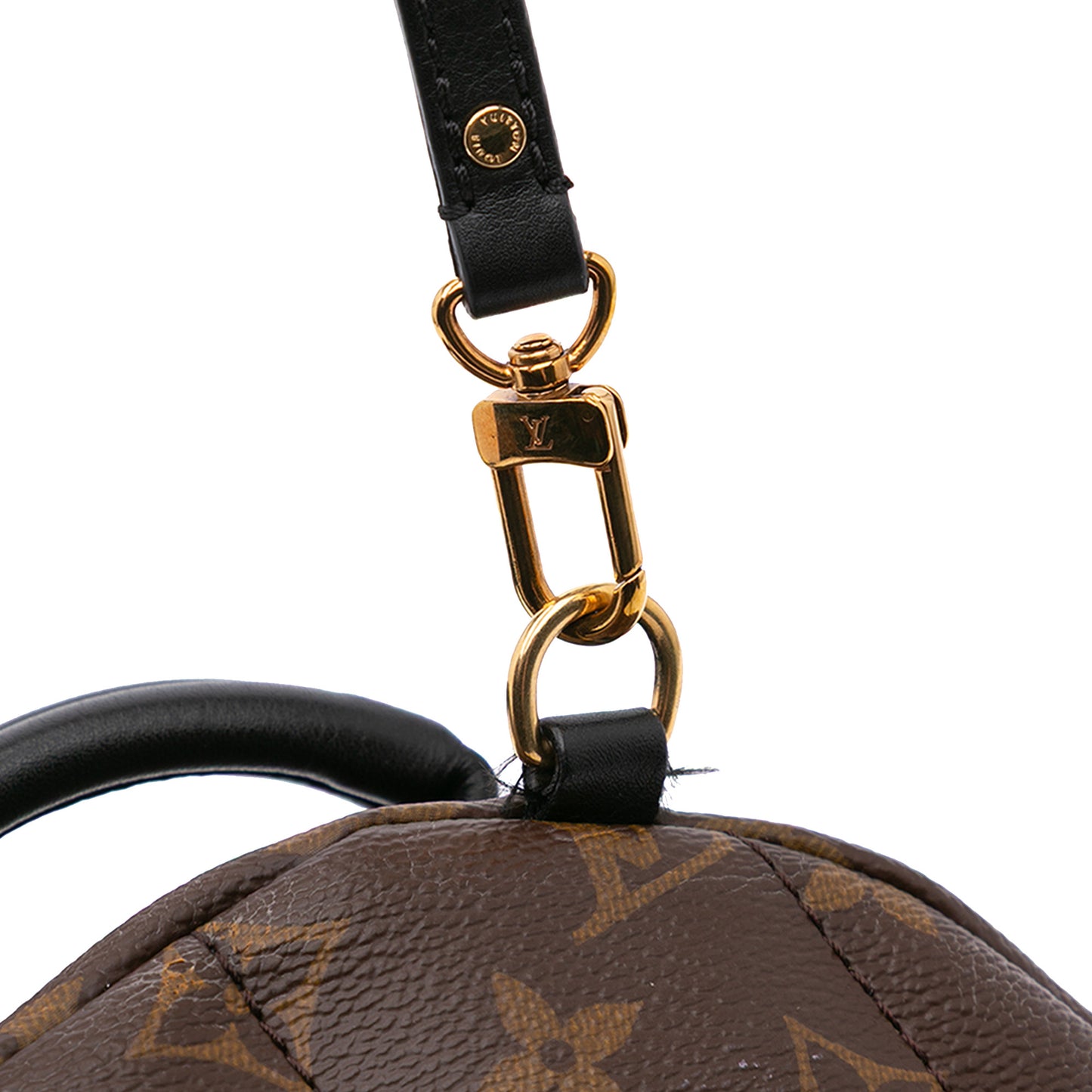Louis Vuitton Palm Spring Mini