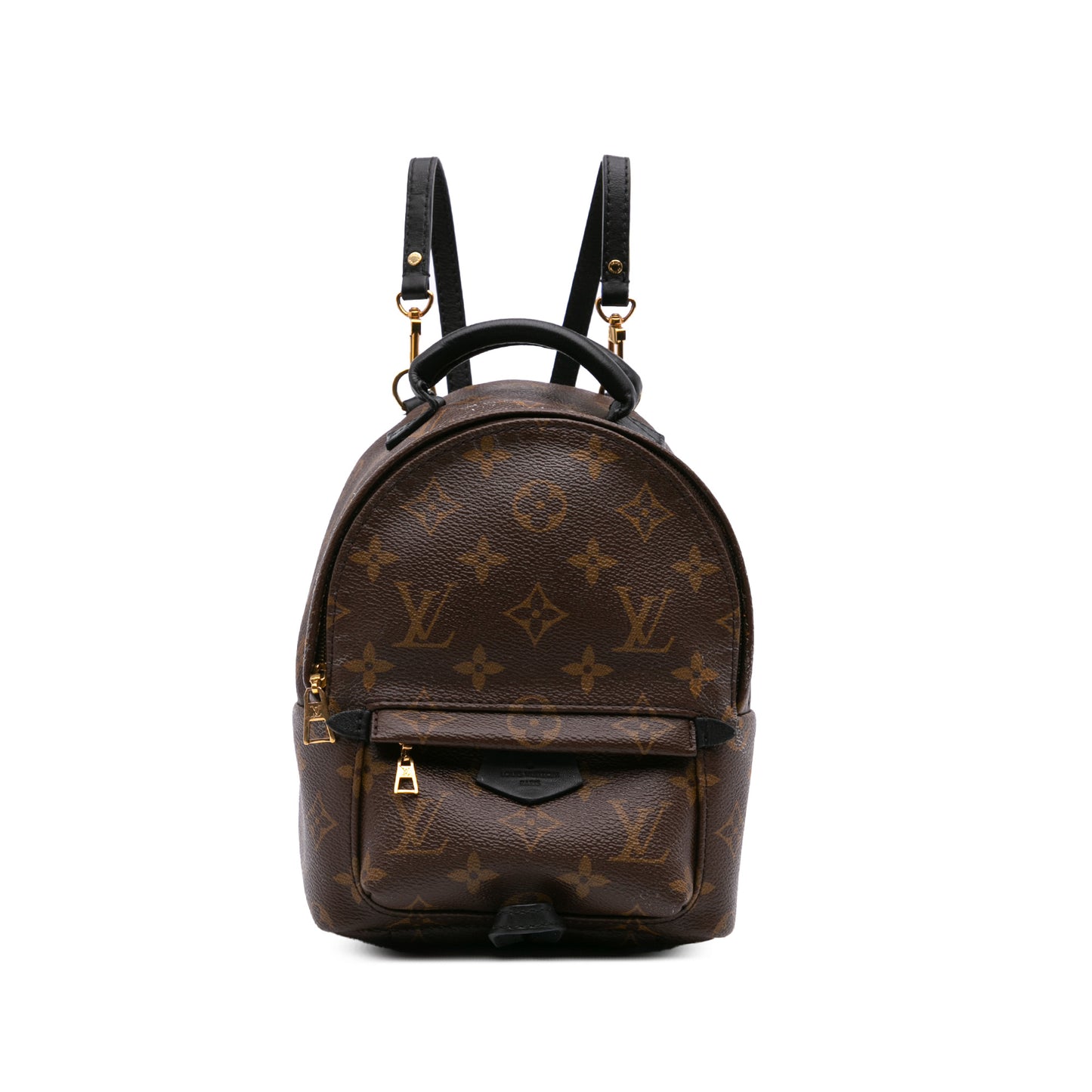 Louis Vuitton Palm Spring Mini