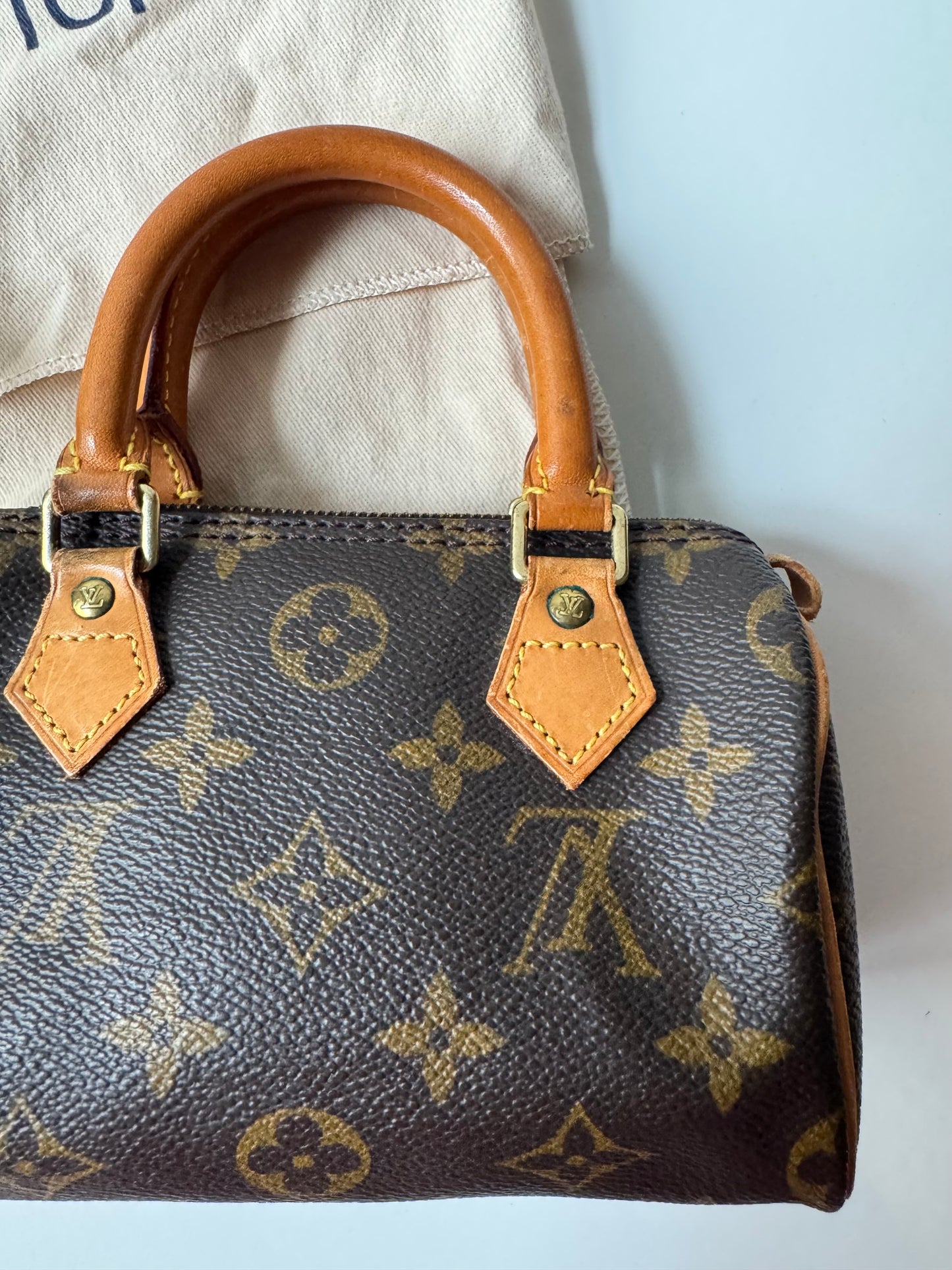 Louis Vuitton Speedy Nano