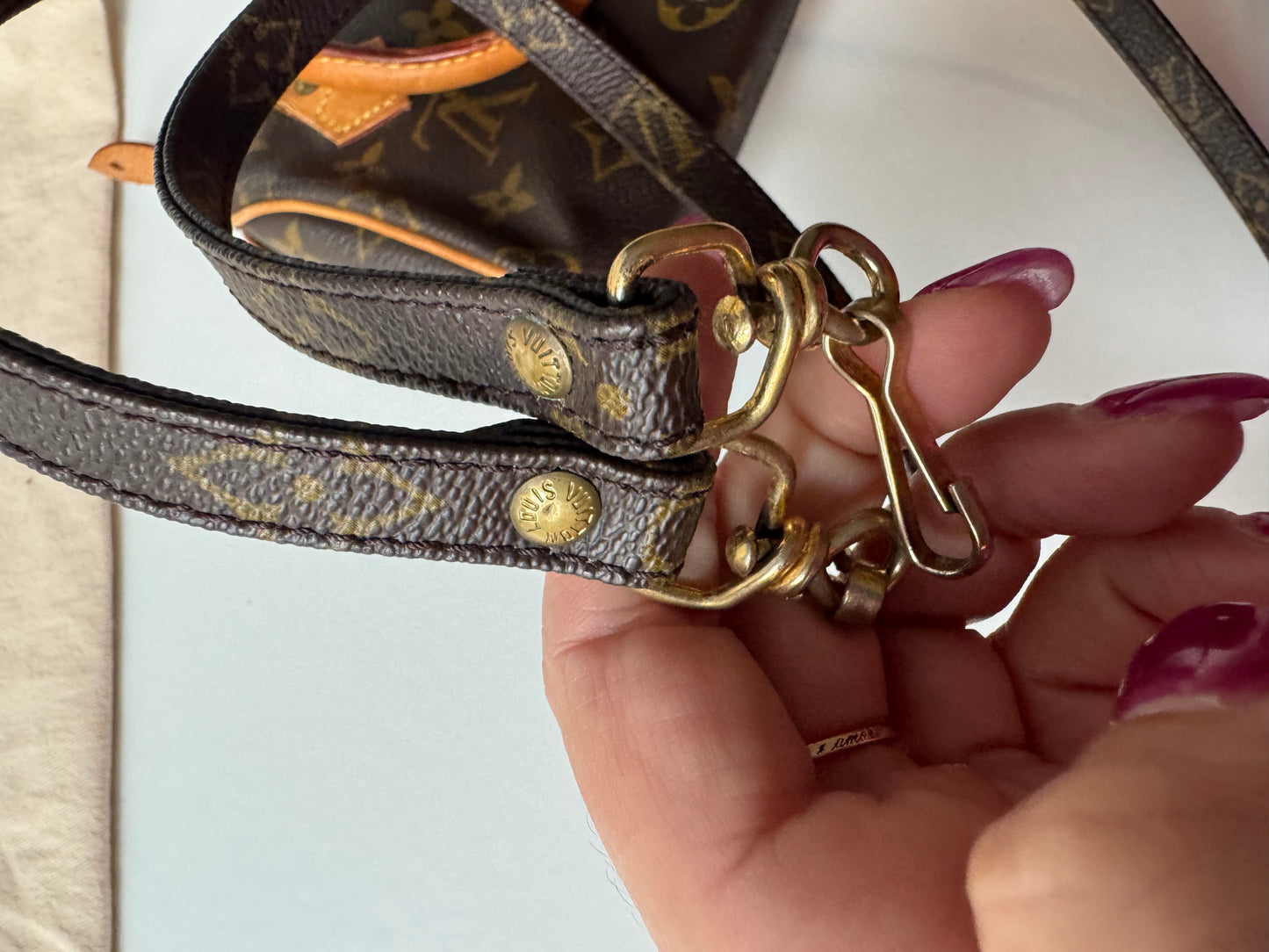 Louis Vuitton Speedy Nano