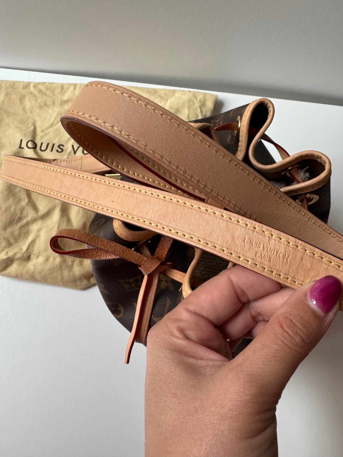 Louis Vuitton Noè Small