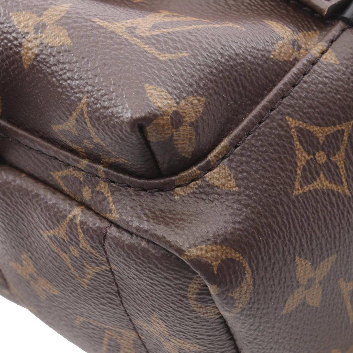 Louis Vuitton Palm Spring