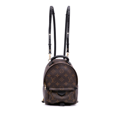 Louis Vuitton Palm Spring