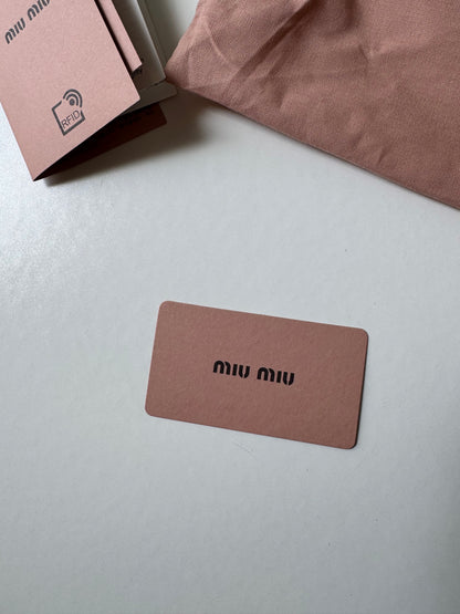 Miu Miu Mini Pouch Bag
