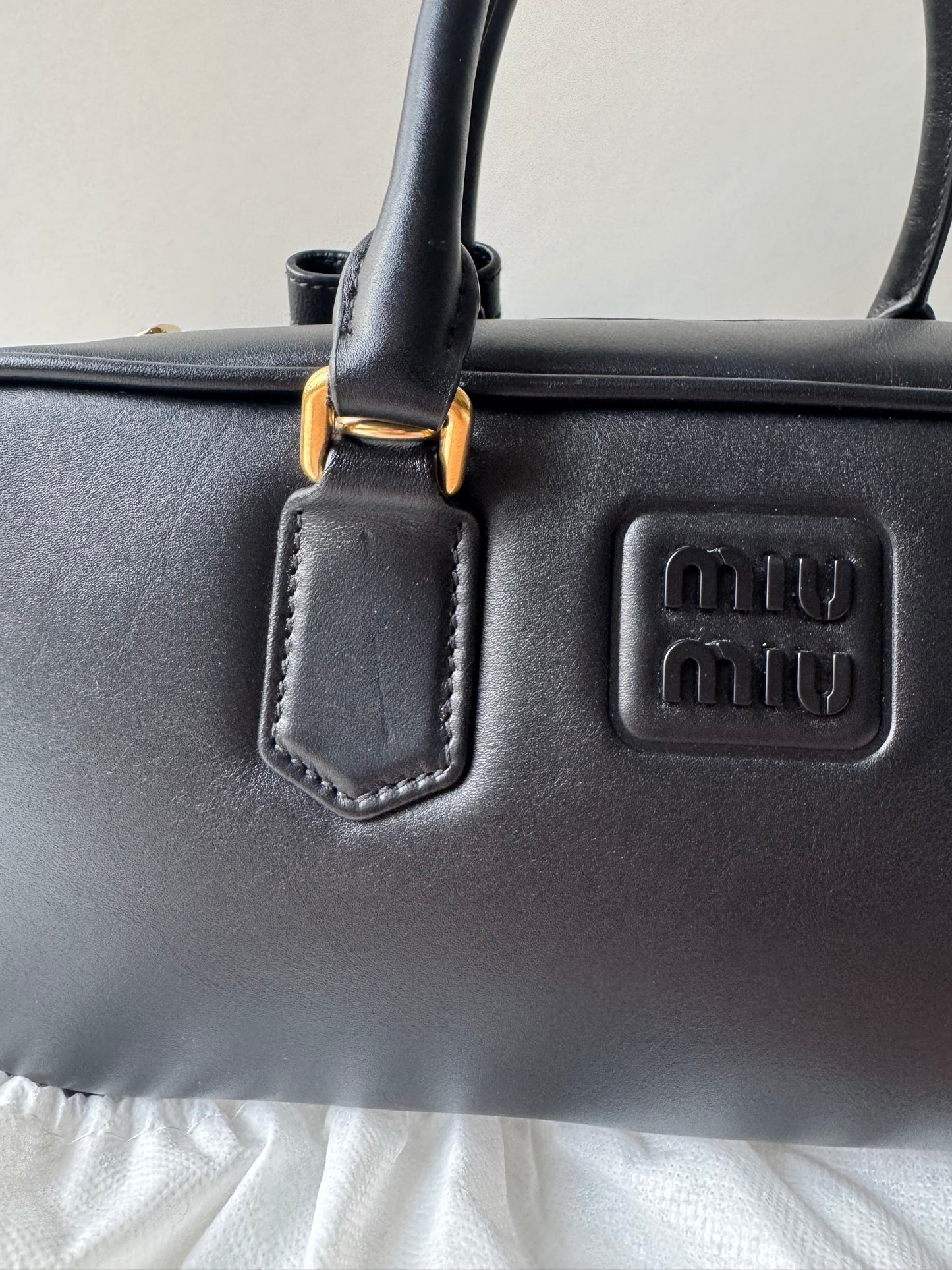 Miu Miu Arcadie