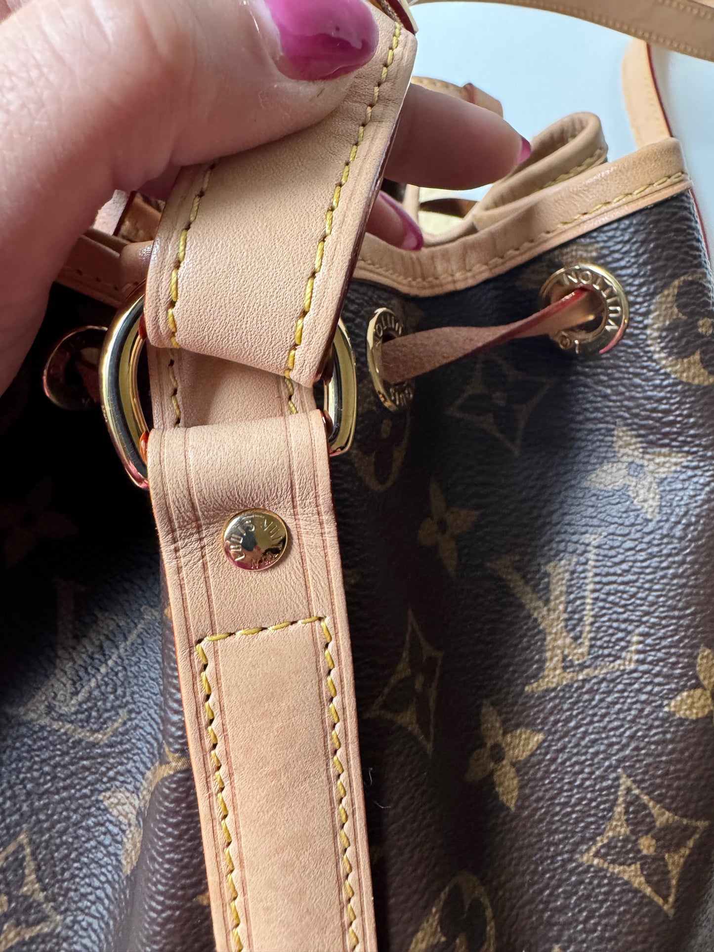 Louis Vuitton Noè Small