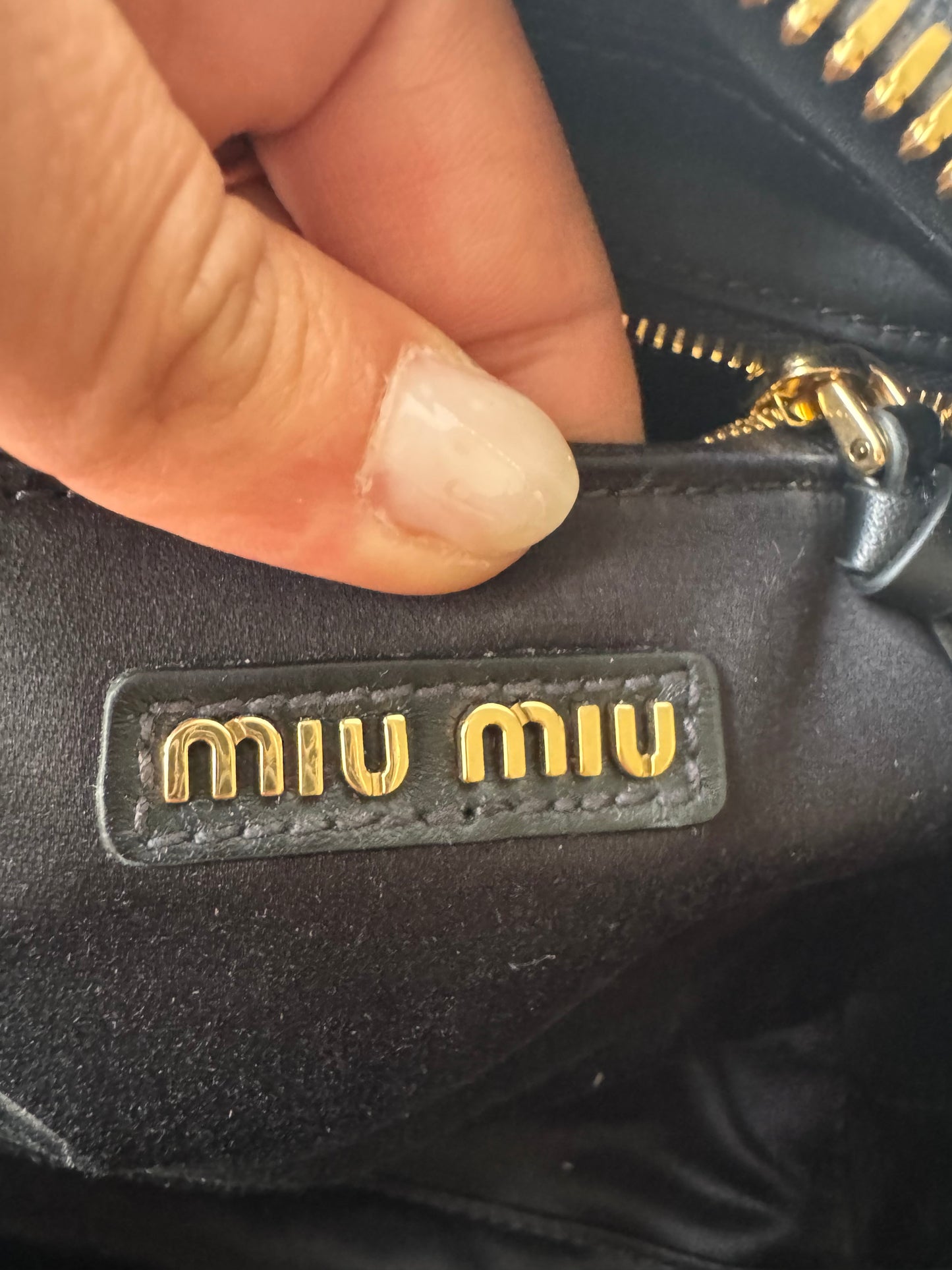 Miu Miu Arcadie