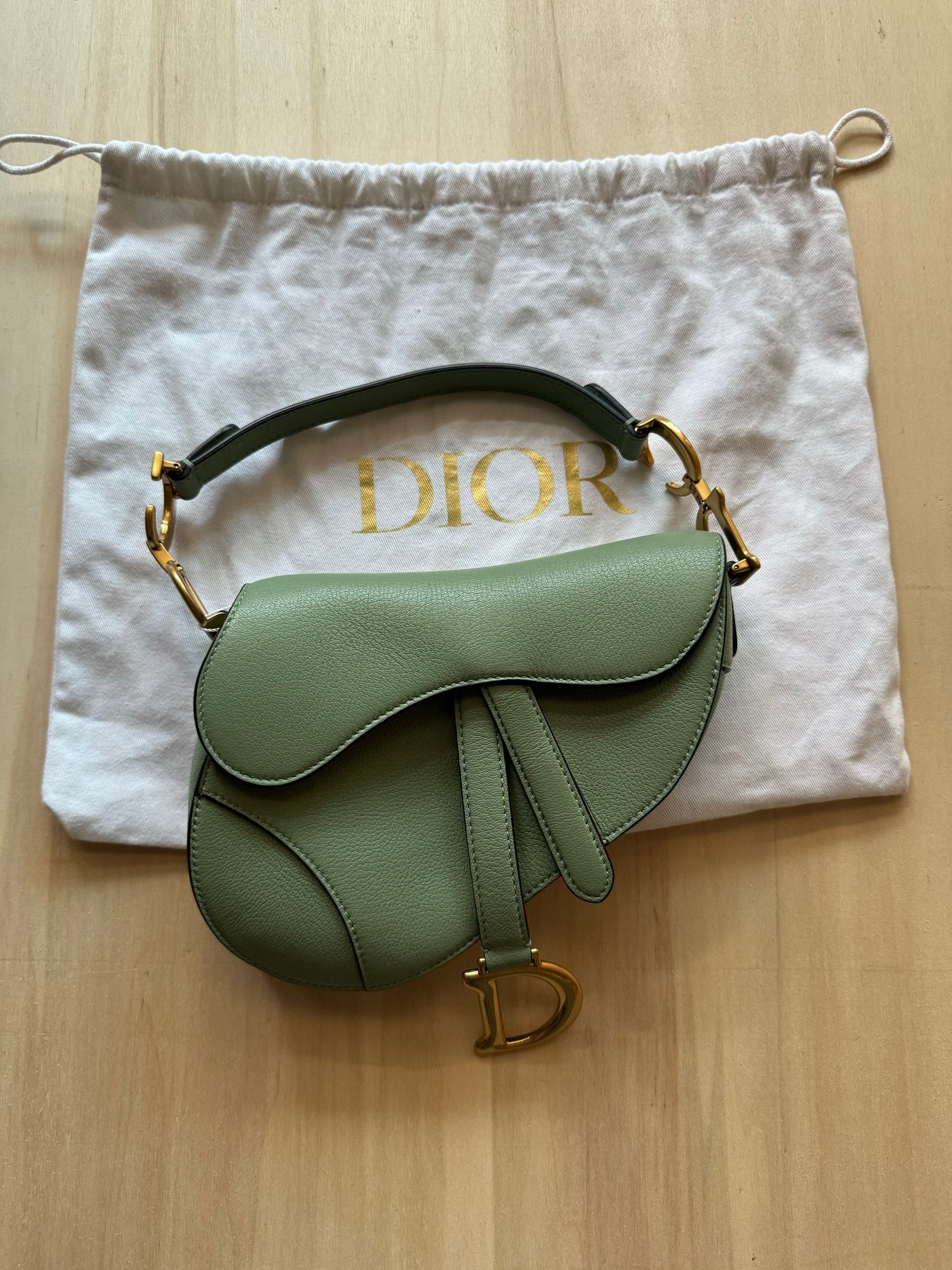 Dior Mini Saddle