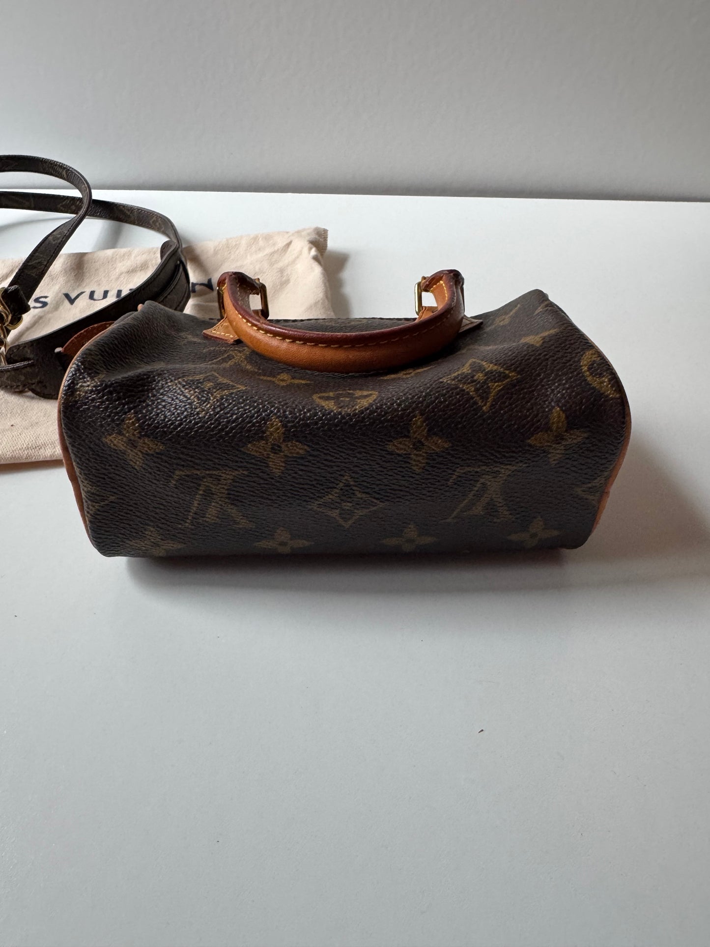 Louis Vuitton Speedy Nano
