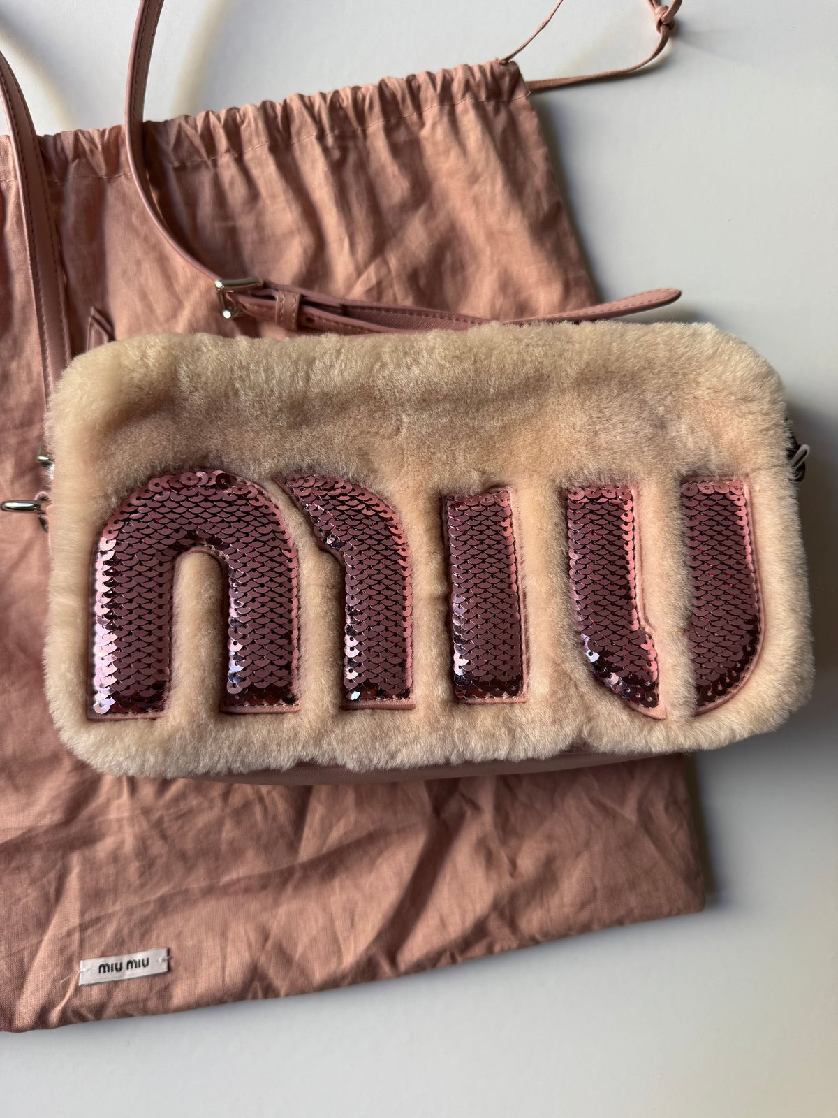 Miu Miu Logo Camera Bag