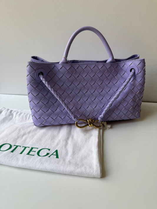 Bottega Veneta Andiamo East West