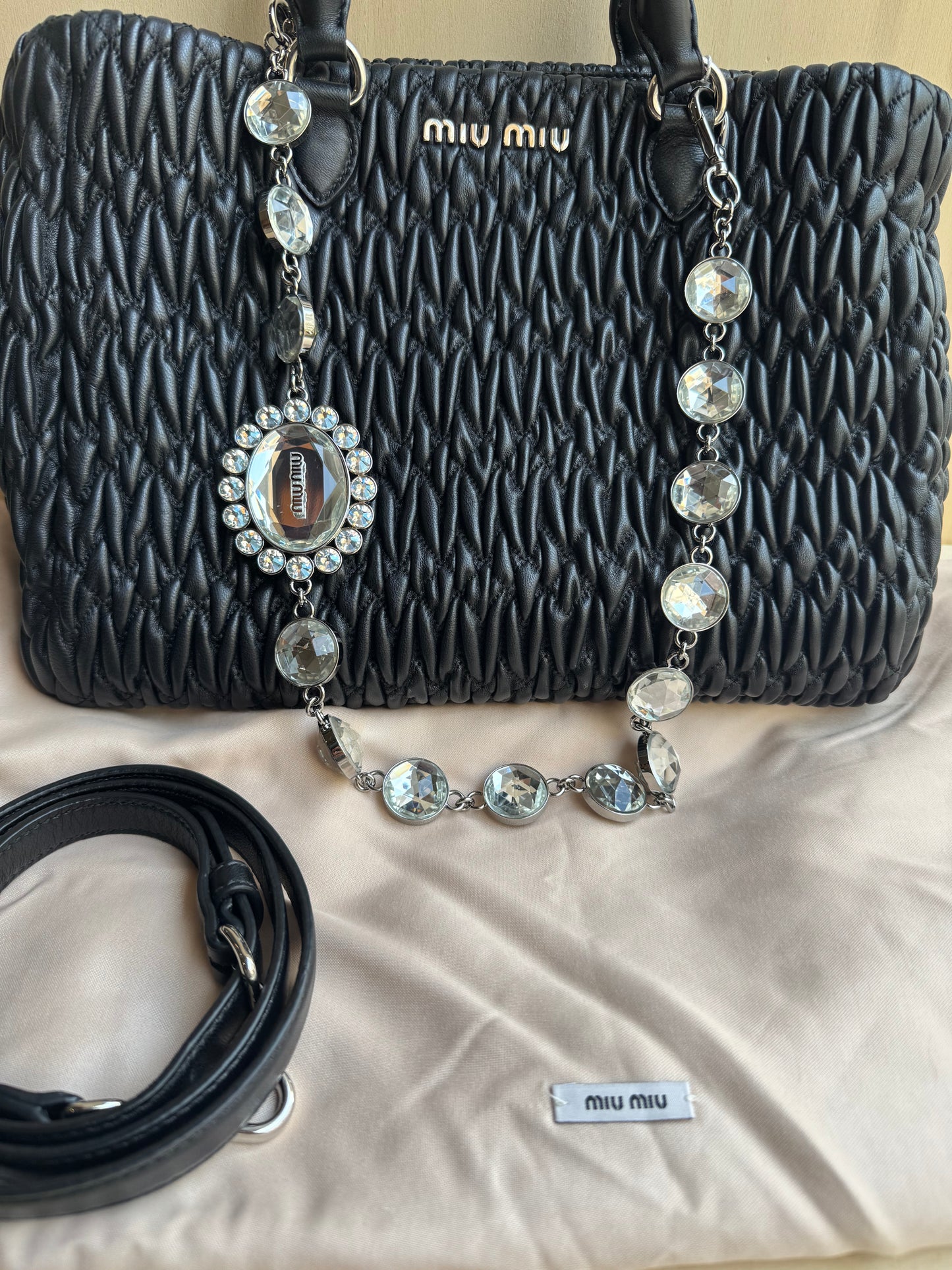 Miu Miu Crystal Bag