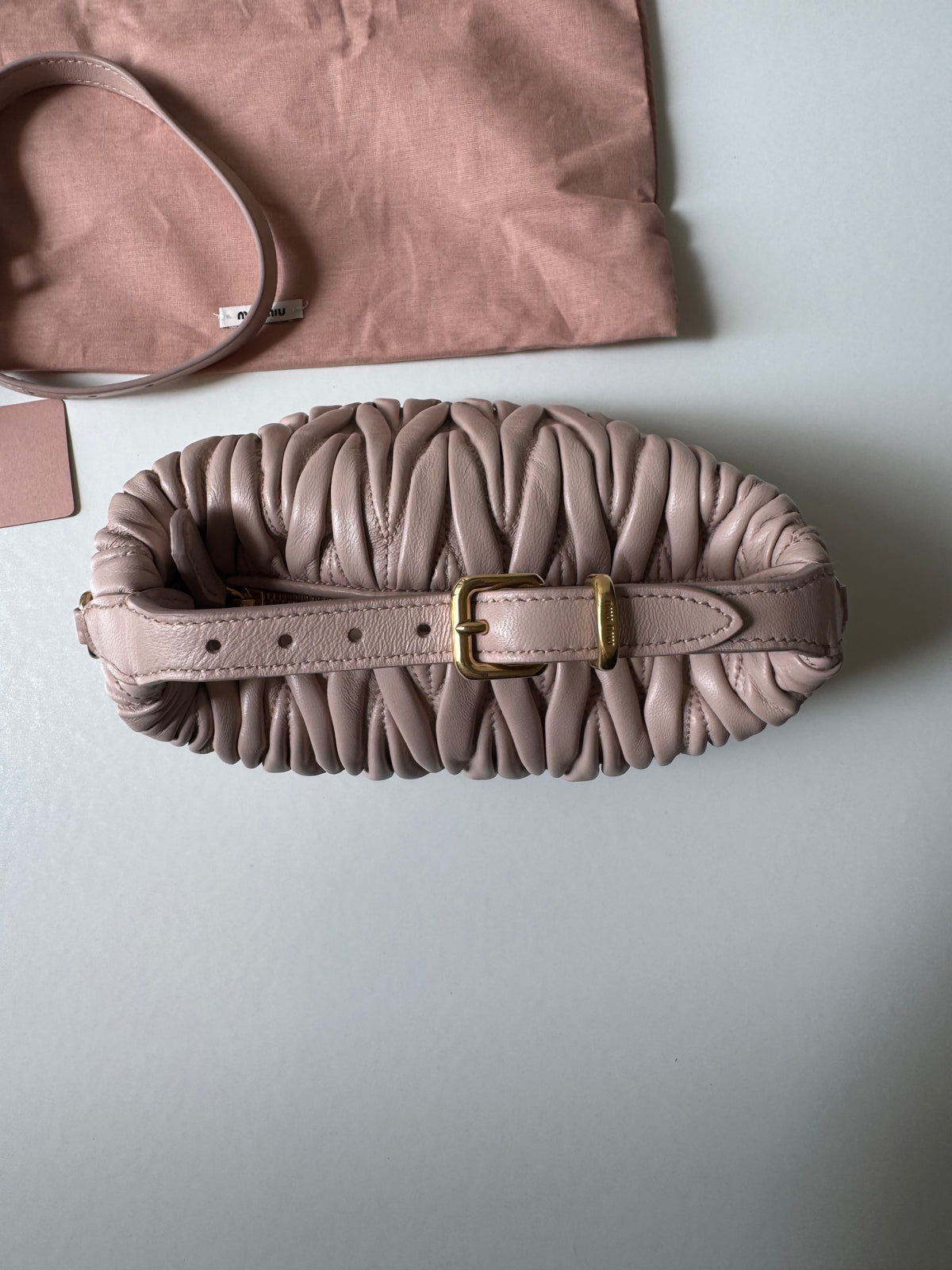 Miu Miu Mini Pouch Bag