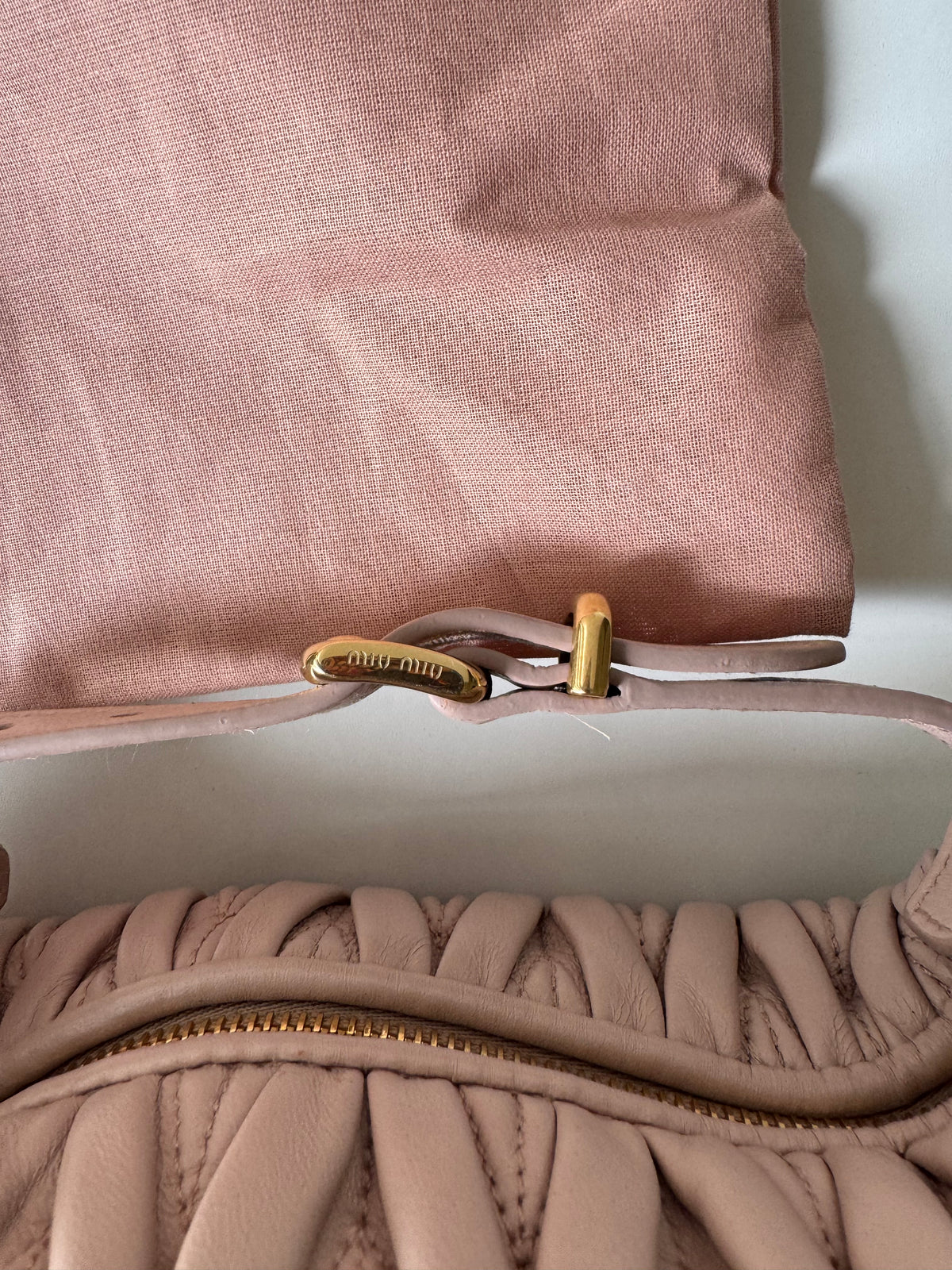 Miu Miu Mini Pouch Bag
