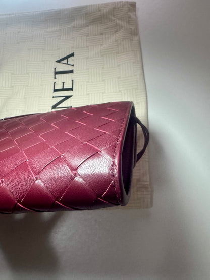 Bottega Veneta Andiamo Clutch
