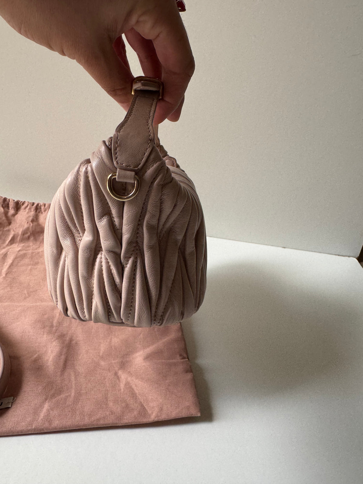 Miu Miu Mini Pouch Bag