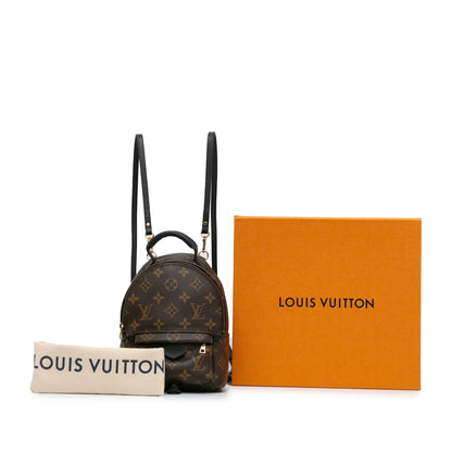 Louis Vuitton Palm Spring Mini