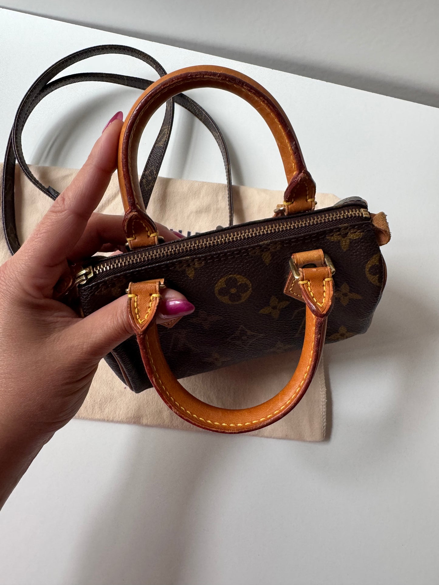 Louis Vuitton Speedy Nano