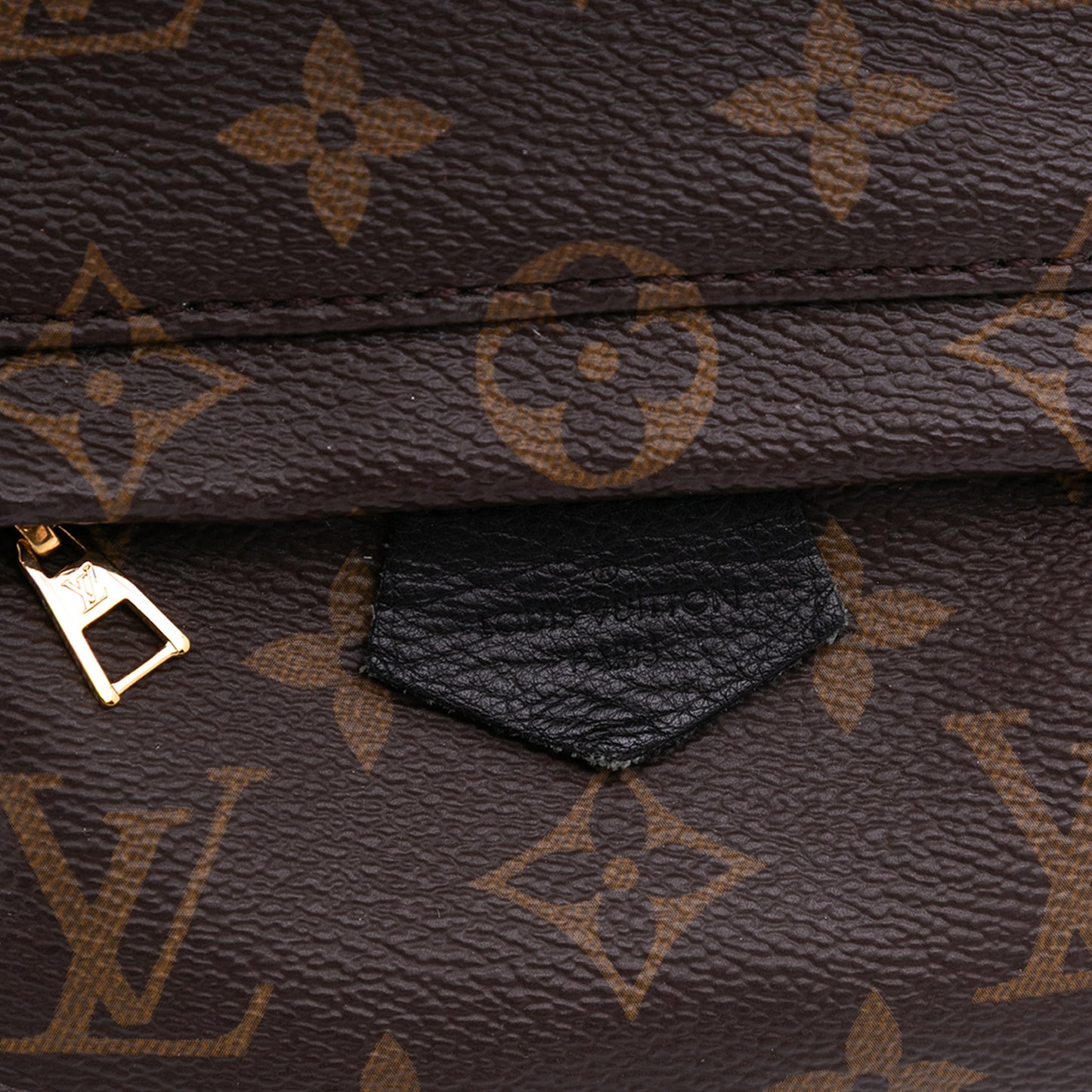 Louis Vuitton Palm Spring