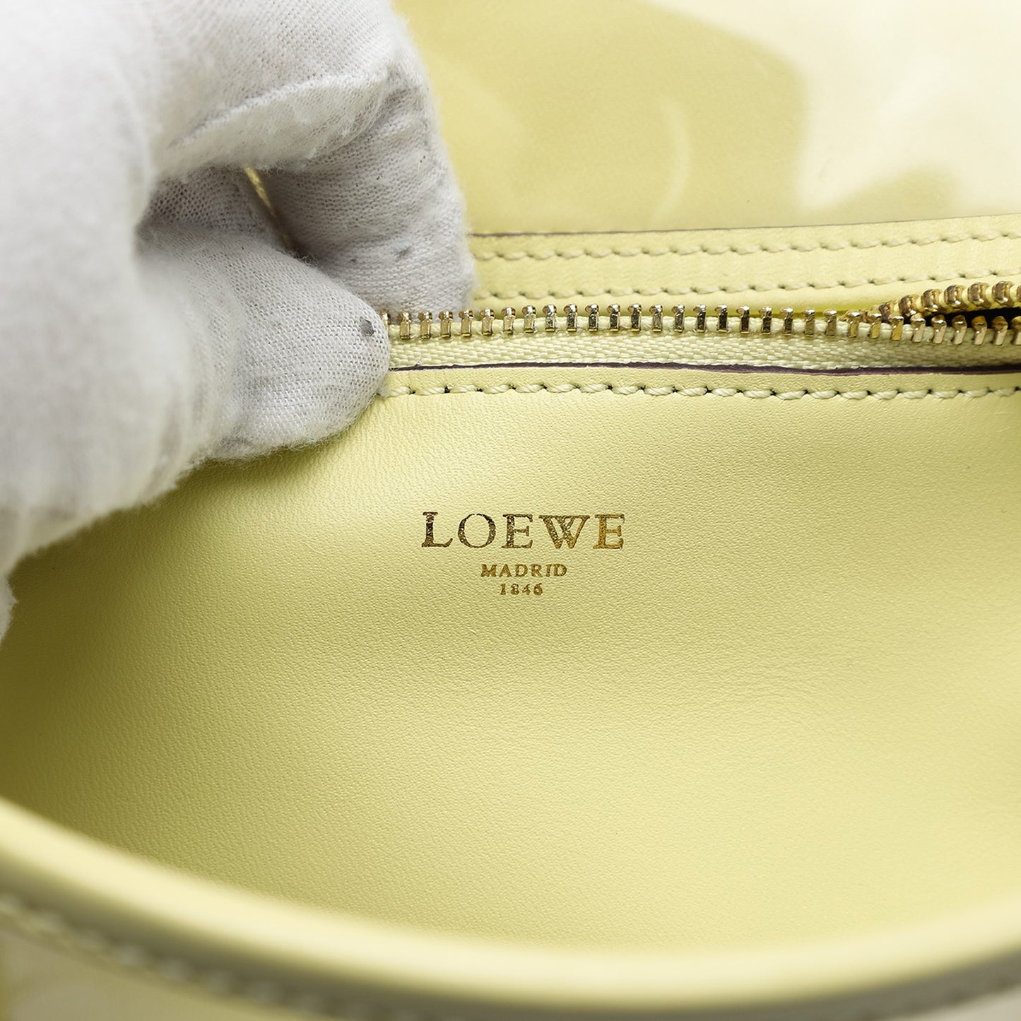 Loewe Amazona