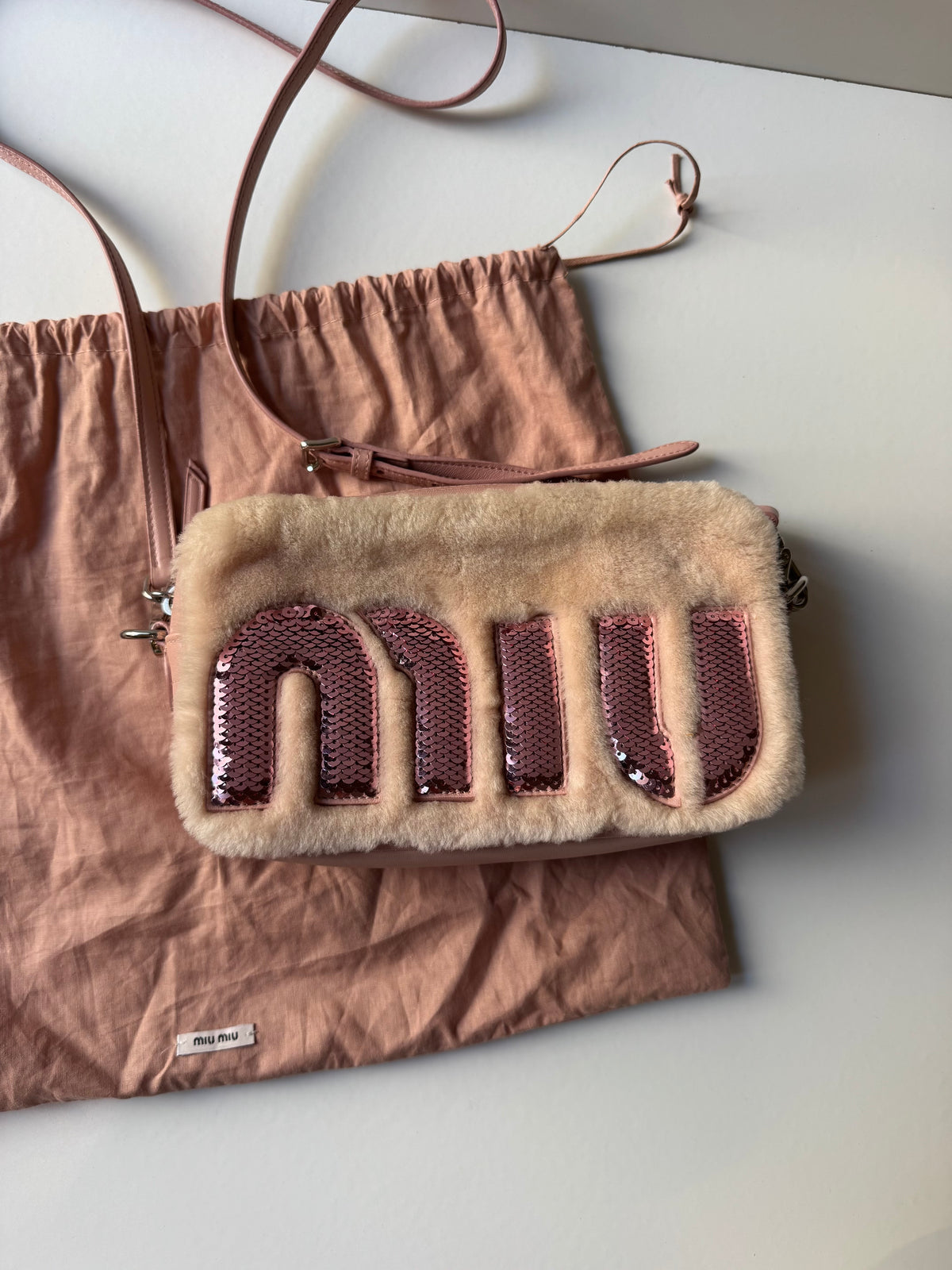 Miu Miu Logo Camera Bag