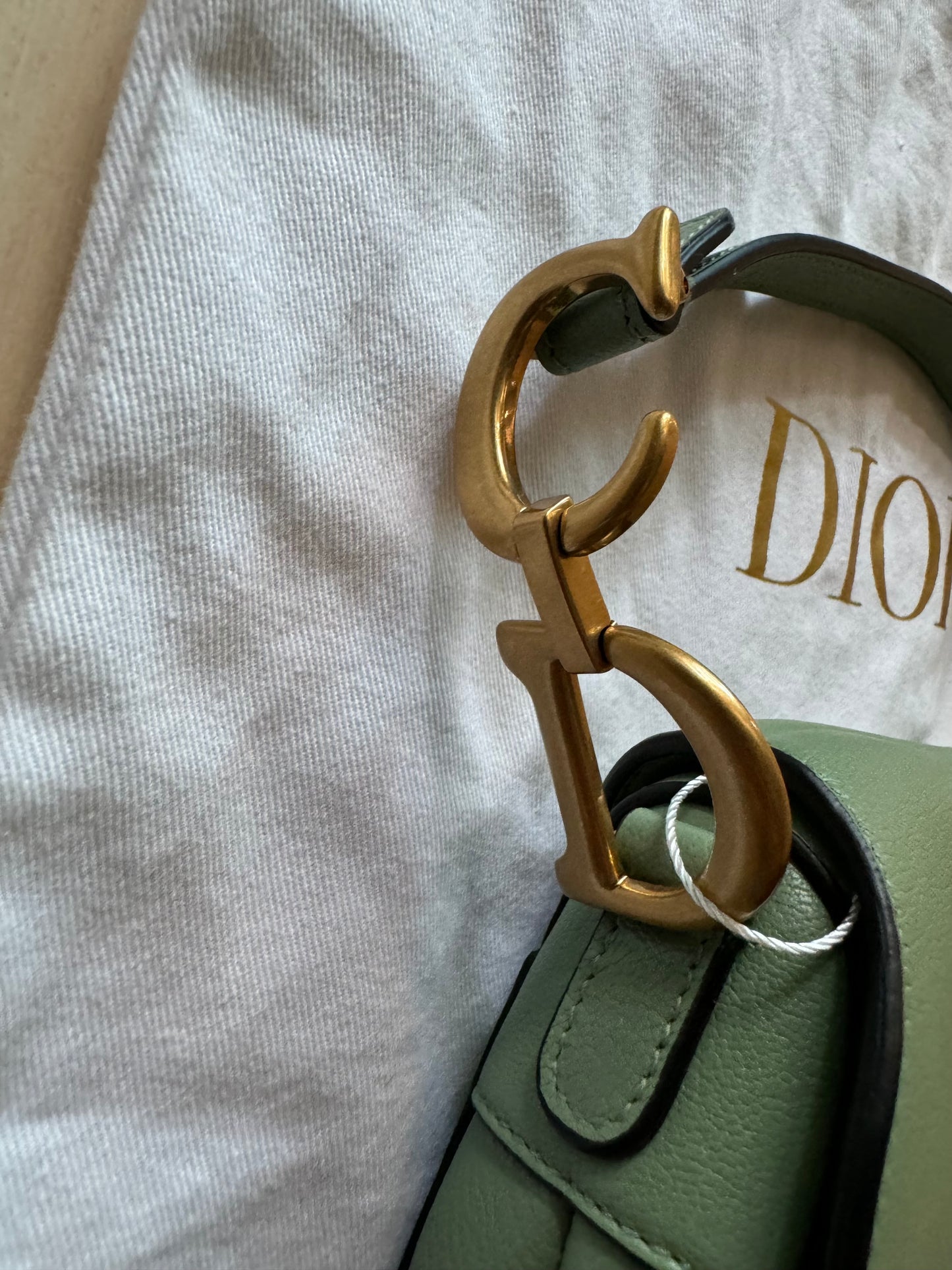 Dior Mini Saddle