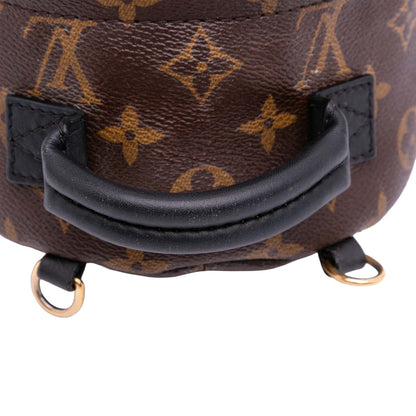 Louis Vuitton Palm spring